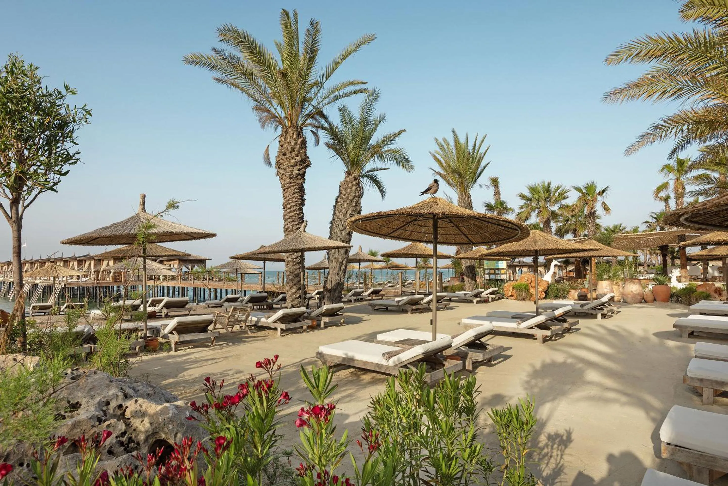 Beach in Cullinan Belek