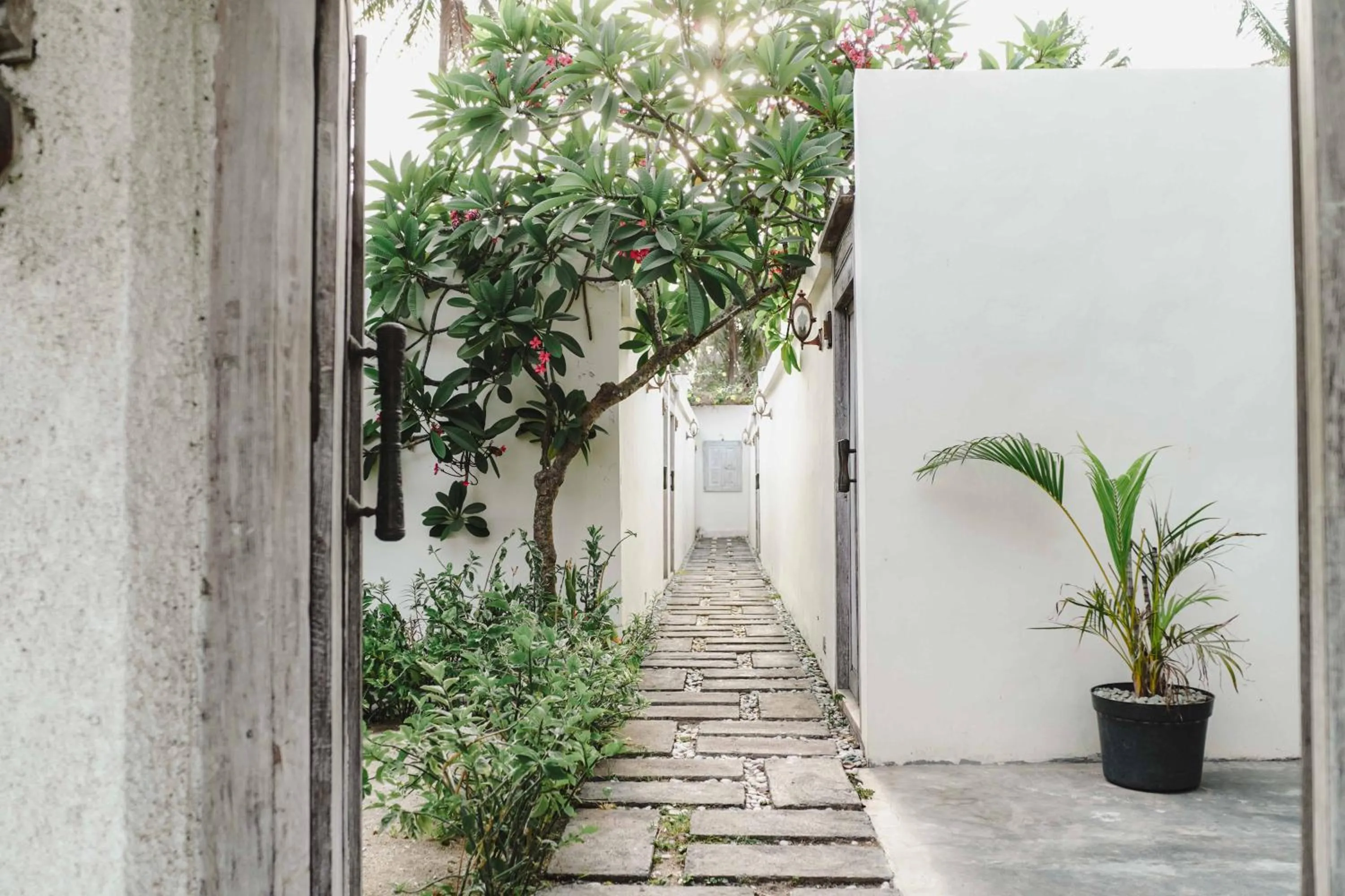 Garden view in Java Wood