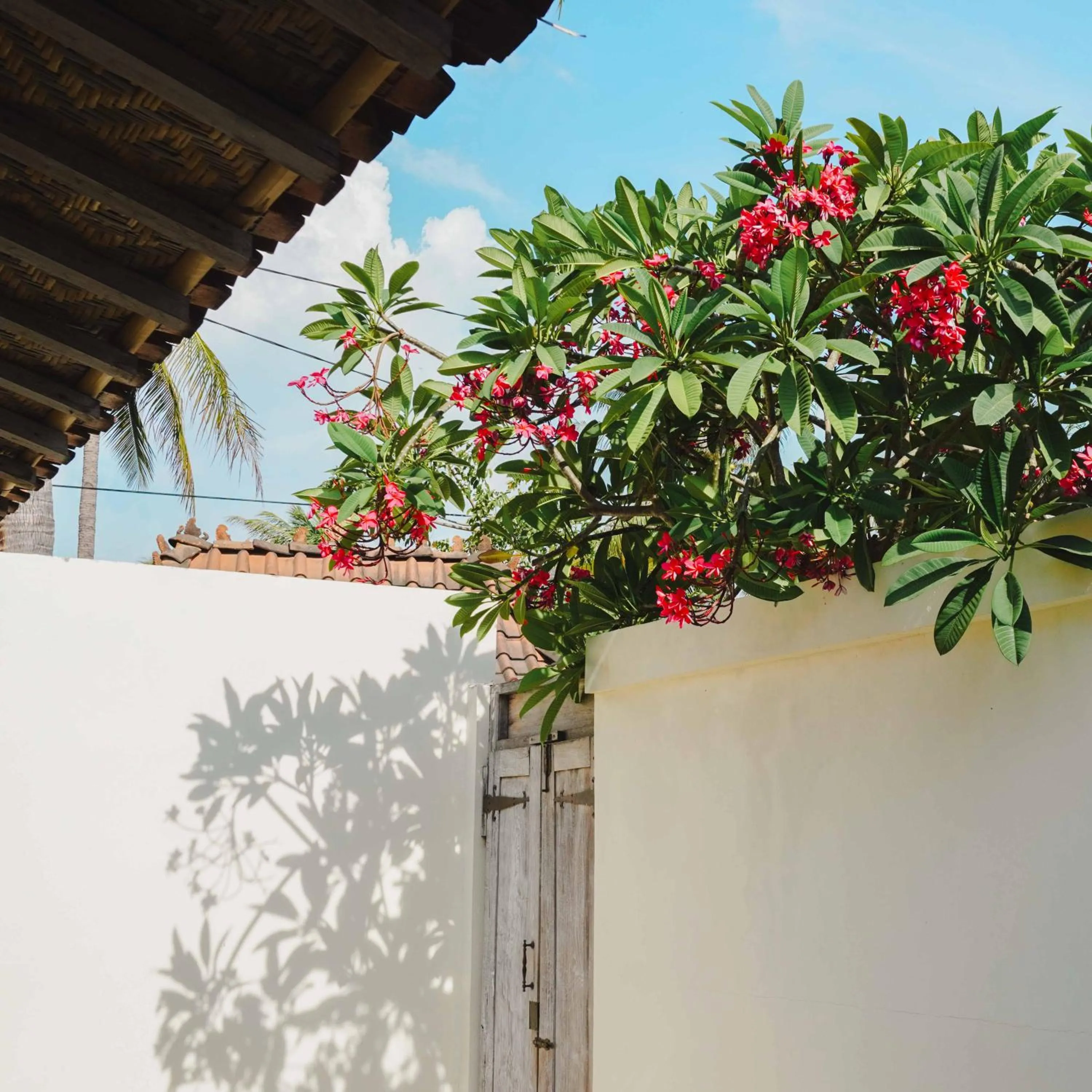 Property building in Java Wood