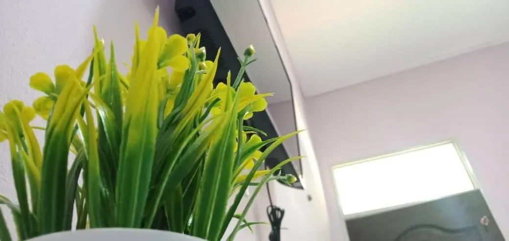 D'EMBUN INAP DESA BESUT