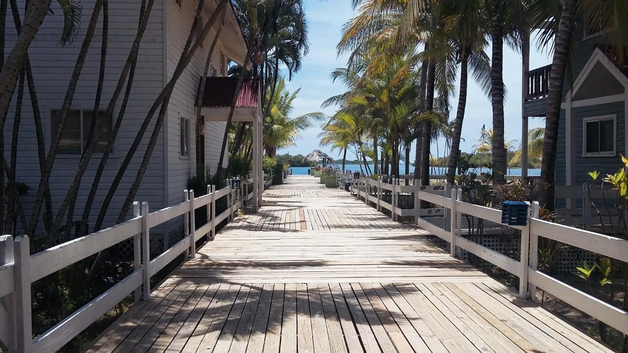 Natural landscape in Las Palmas Beach Hotel
