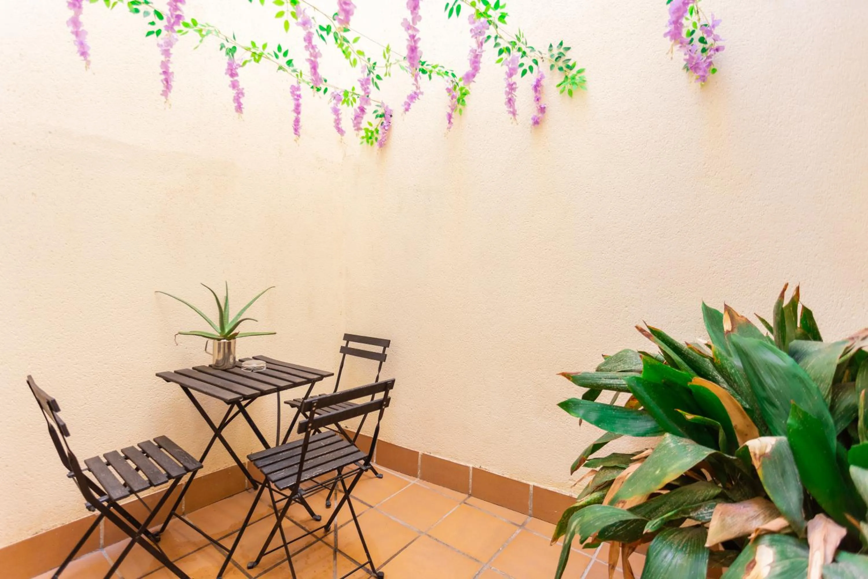 Patio in Apartamentos Granata