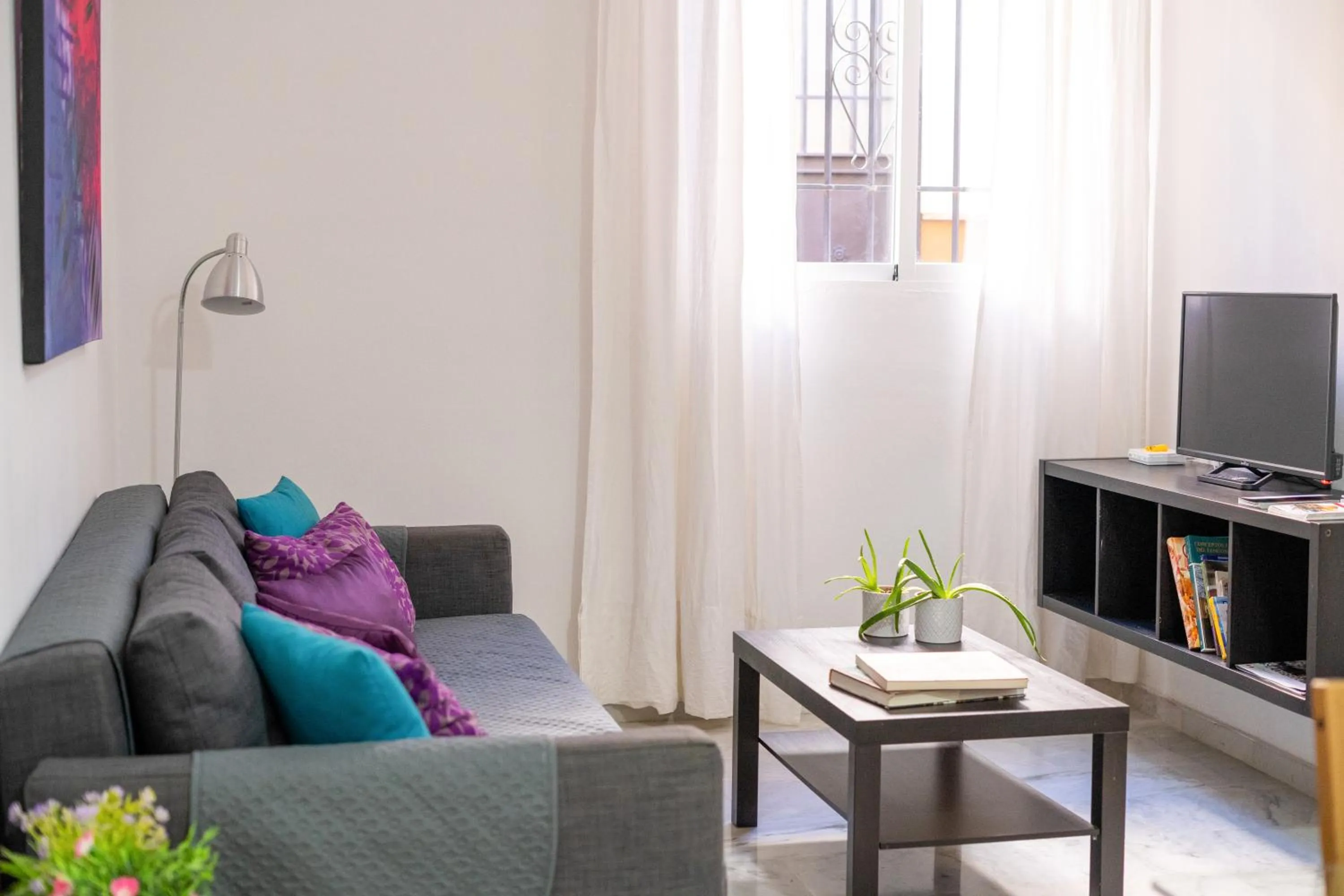 TV and multimedia in Apartamentos Granata