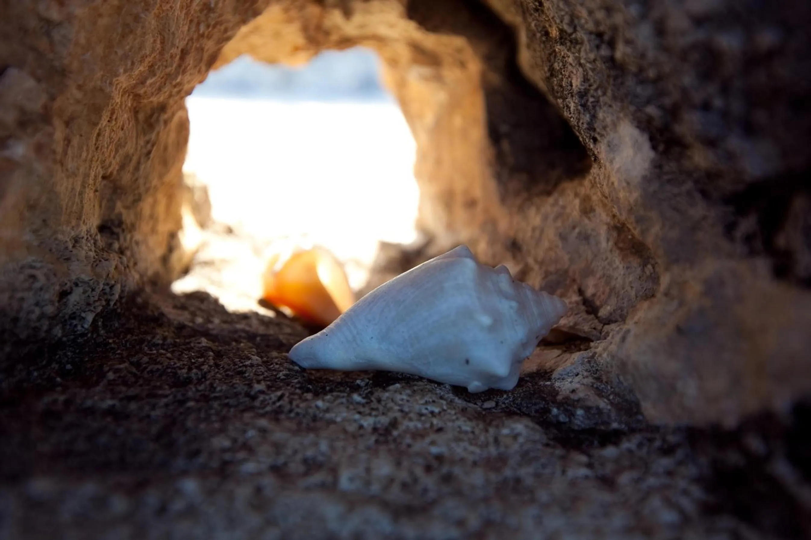 Area and facilities in Hotel Tucan Siho Playa