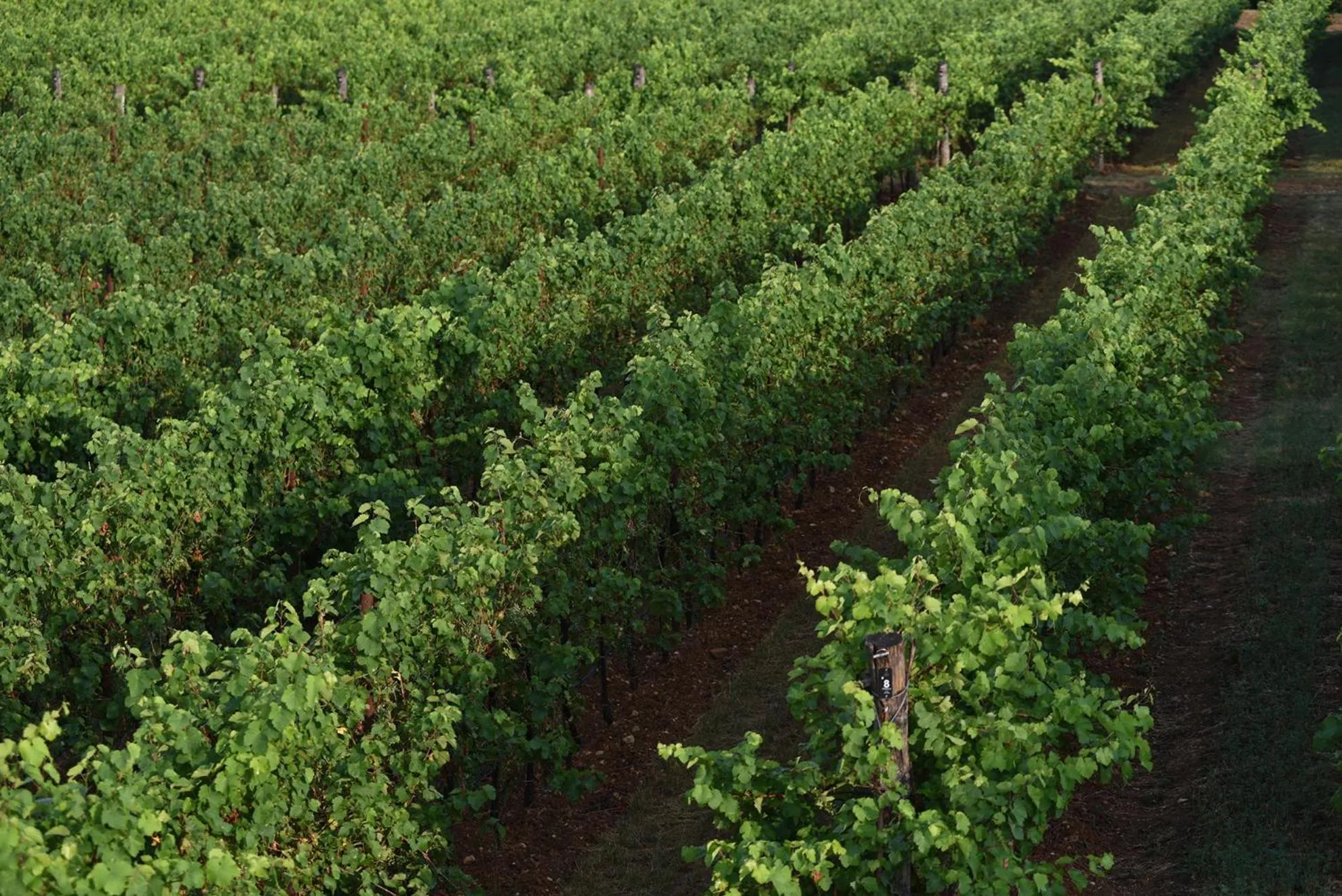 City view in Progress Country & Wine House