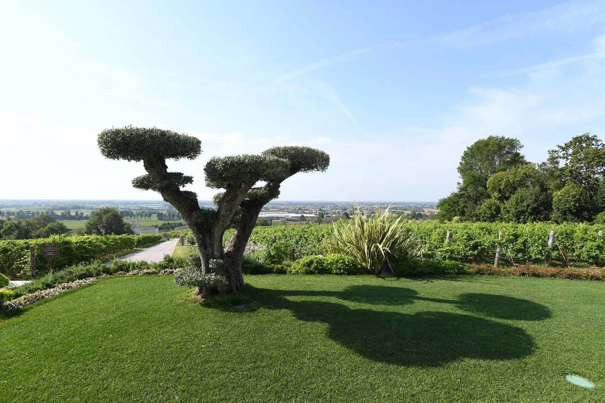 Garden in Progress Country & Wine House