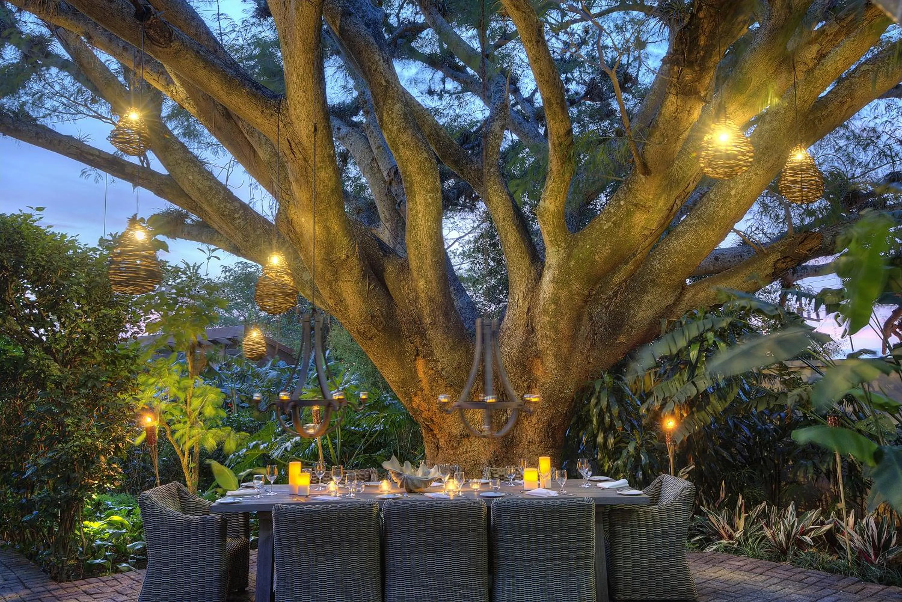 Garden in Alta Las Palomas Hotel