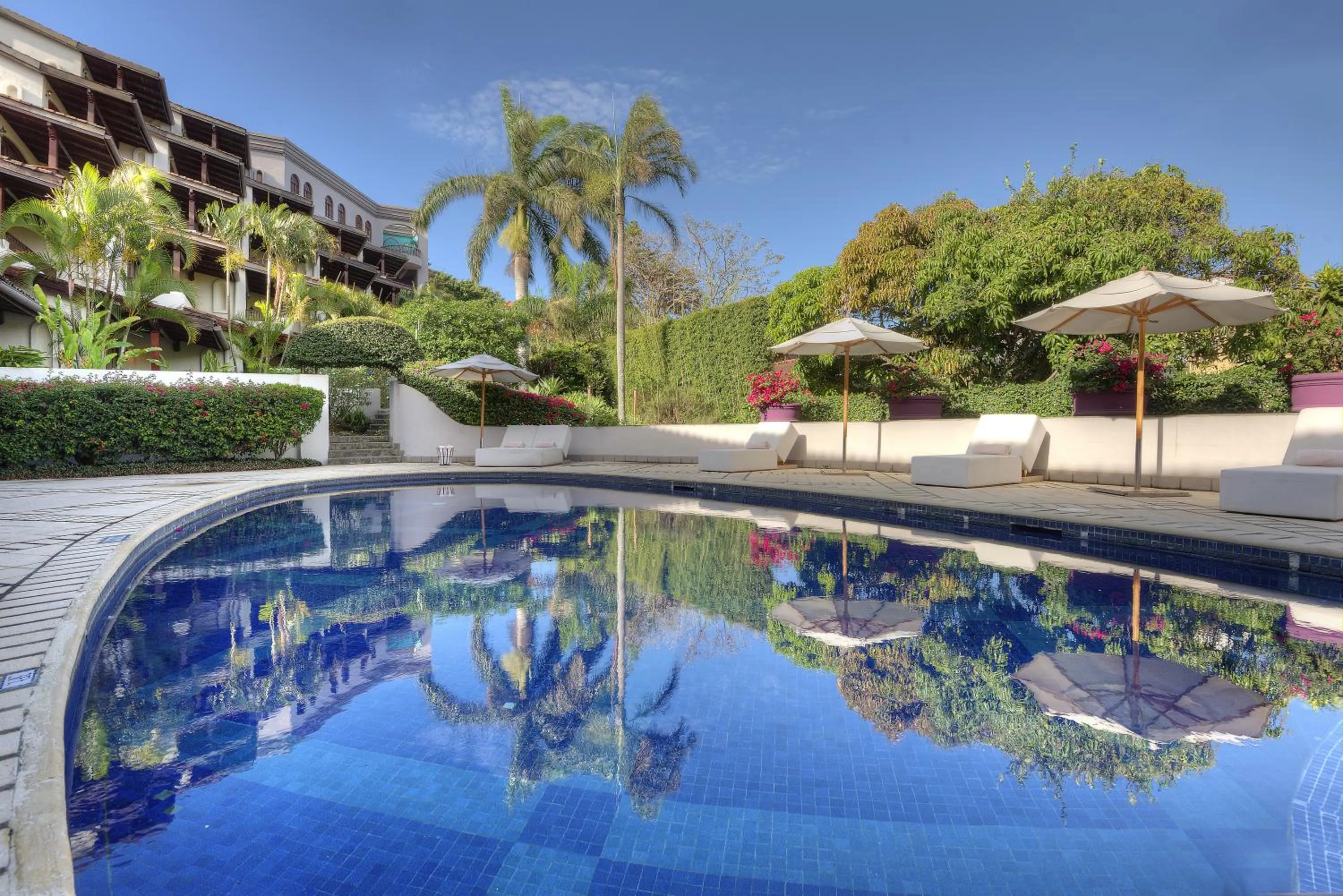 Pool view in Alta Las Palomas Hotel