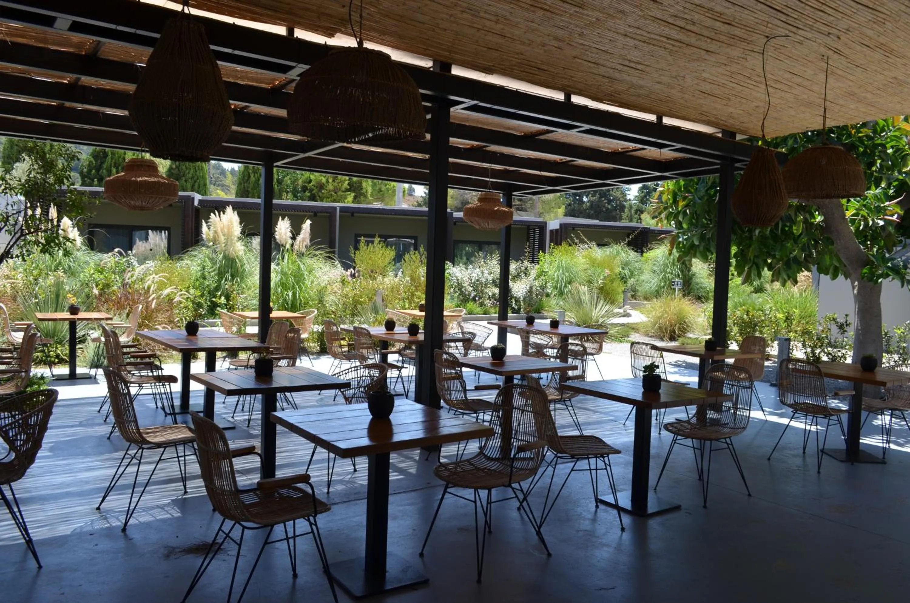 Restaurant/places to eat in Cook's Club Ialysos Rhodes