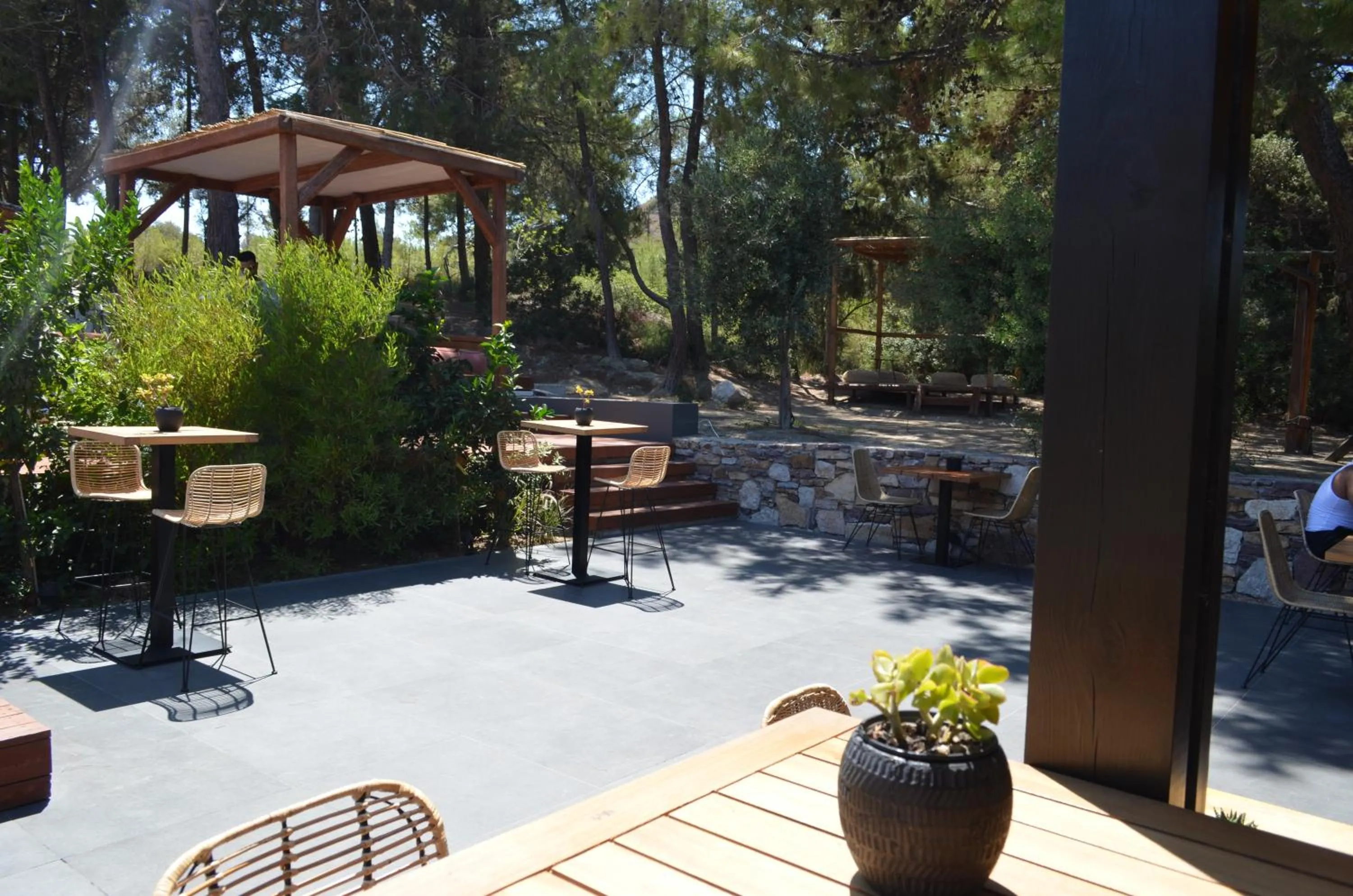 Restaurant/places to eat in Cook's Club Ialysos Rhodes