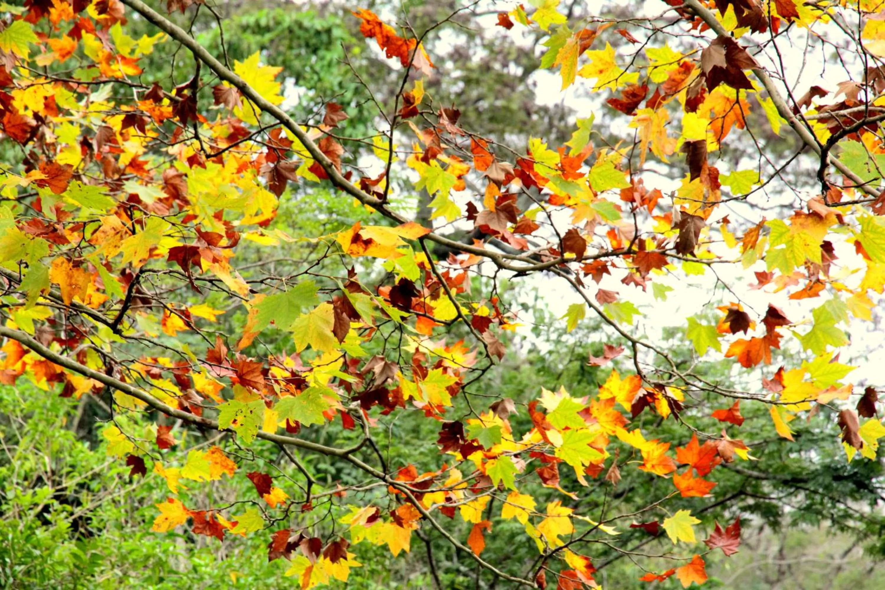 Other in Alta Gracia Parque Hotel