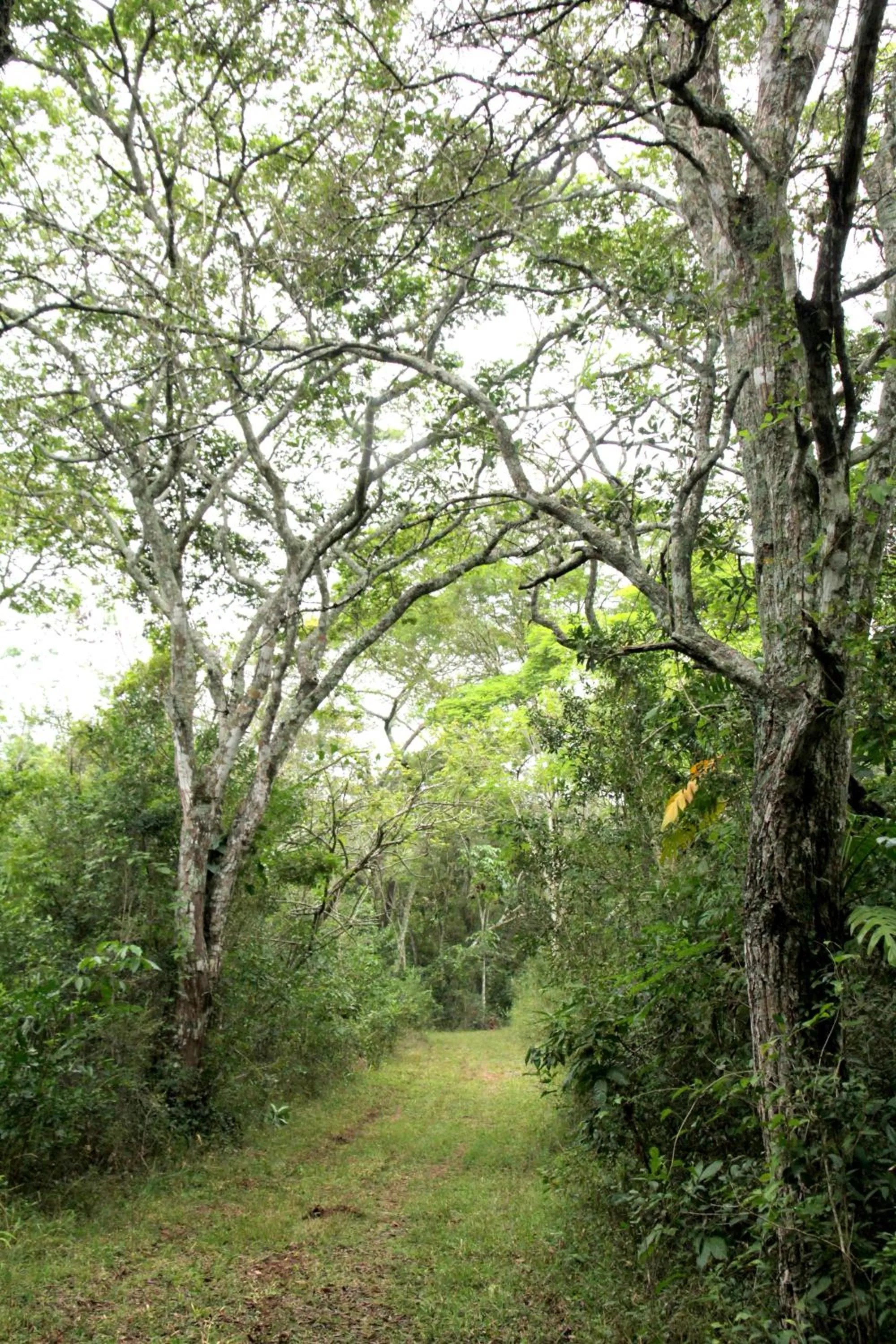 Day in Alta Gracia Parque Hotel