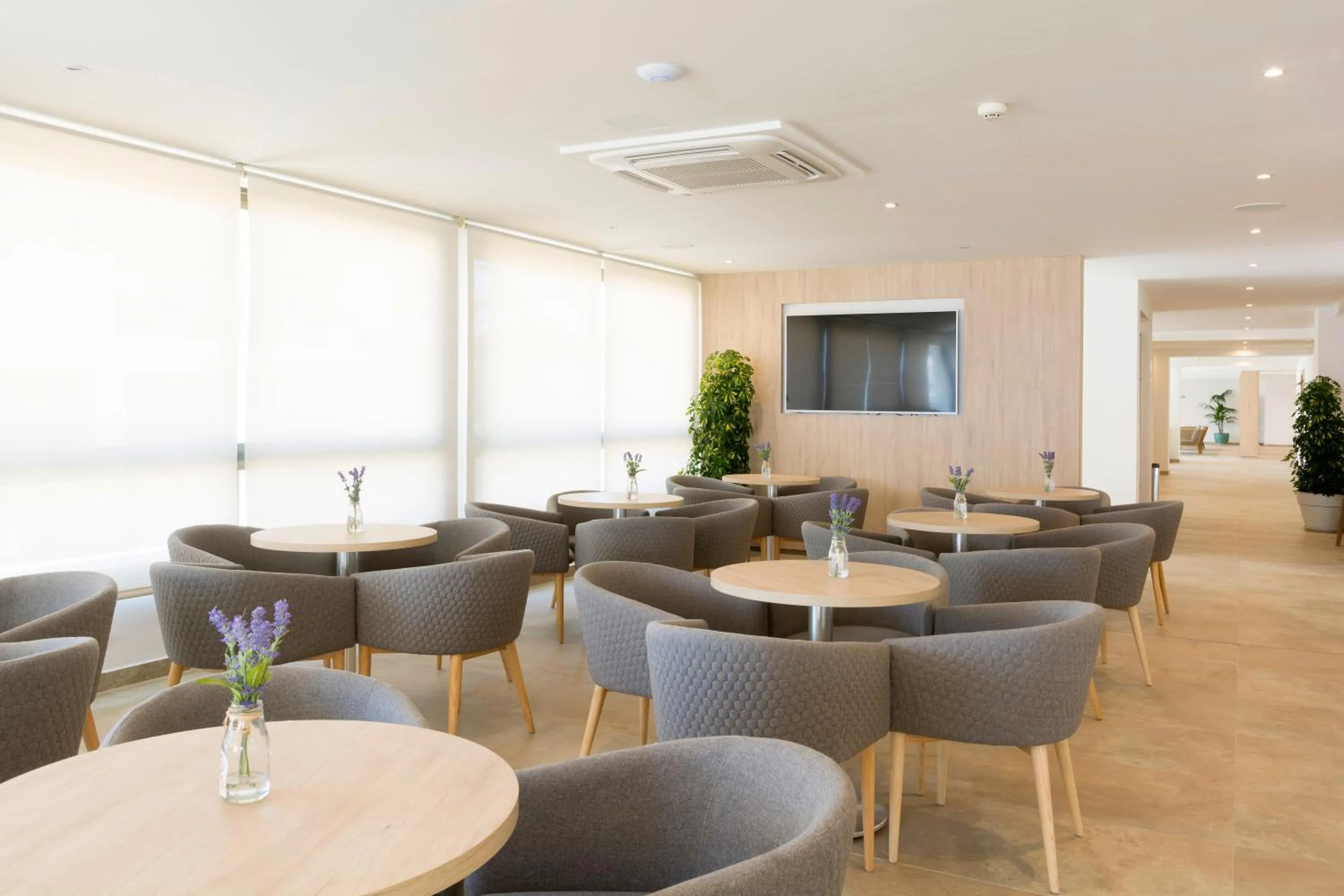 Lobby or reception in HSM Regana - Adults Only