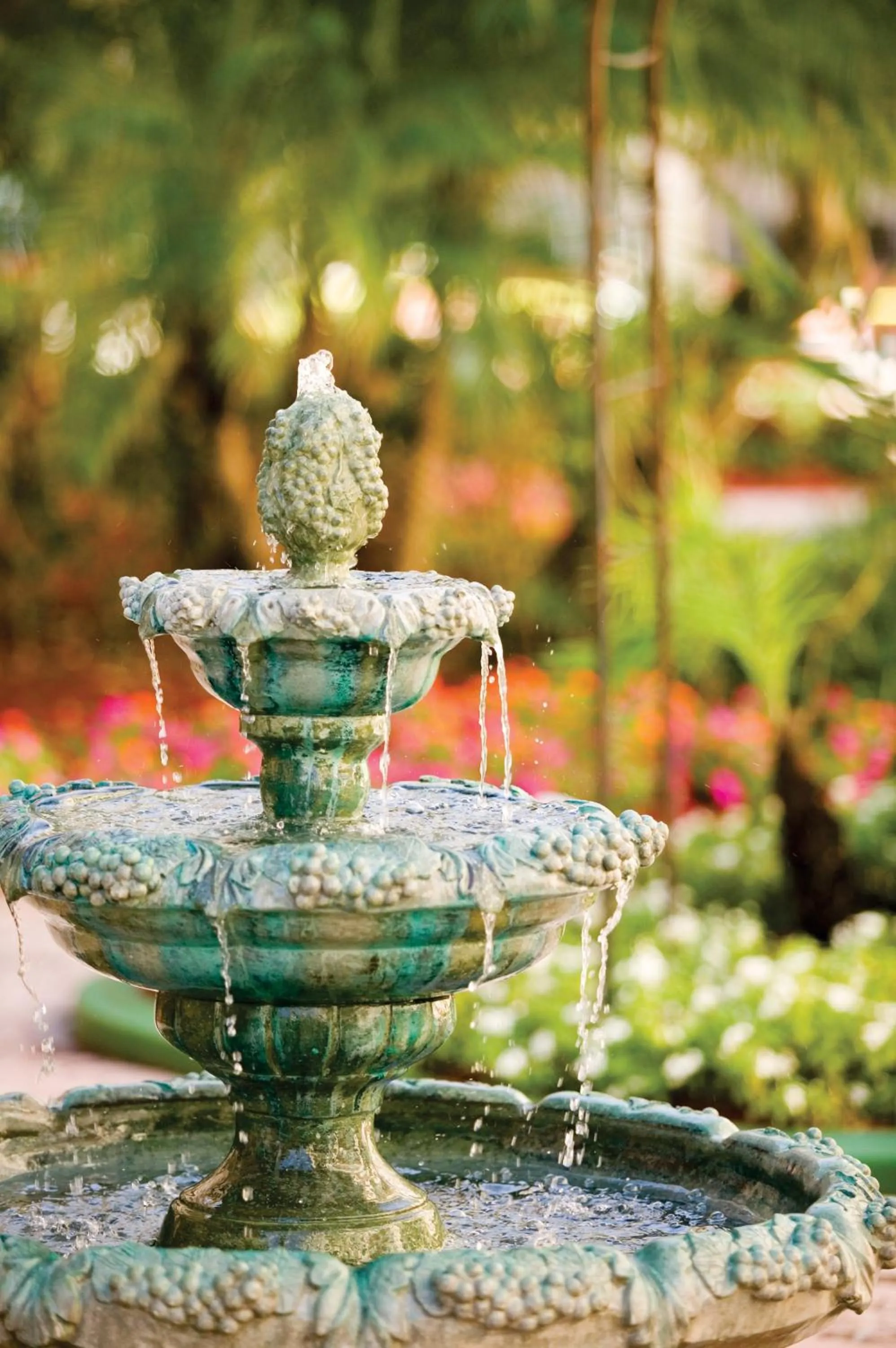 Other in Club Wyndham Sea Gardens