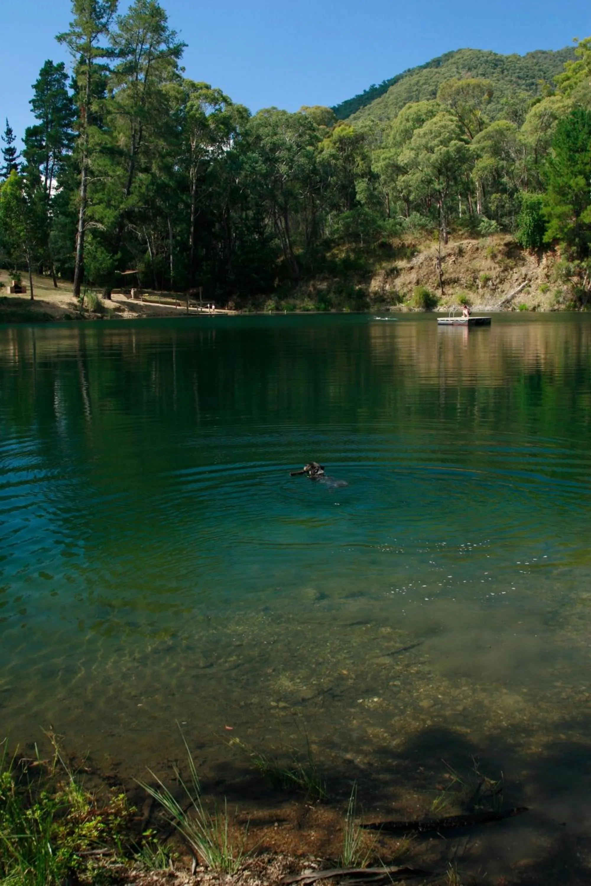 Fishing in The Harrietville Snowline Hotel