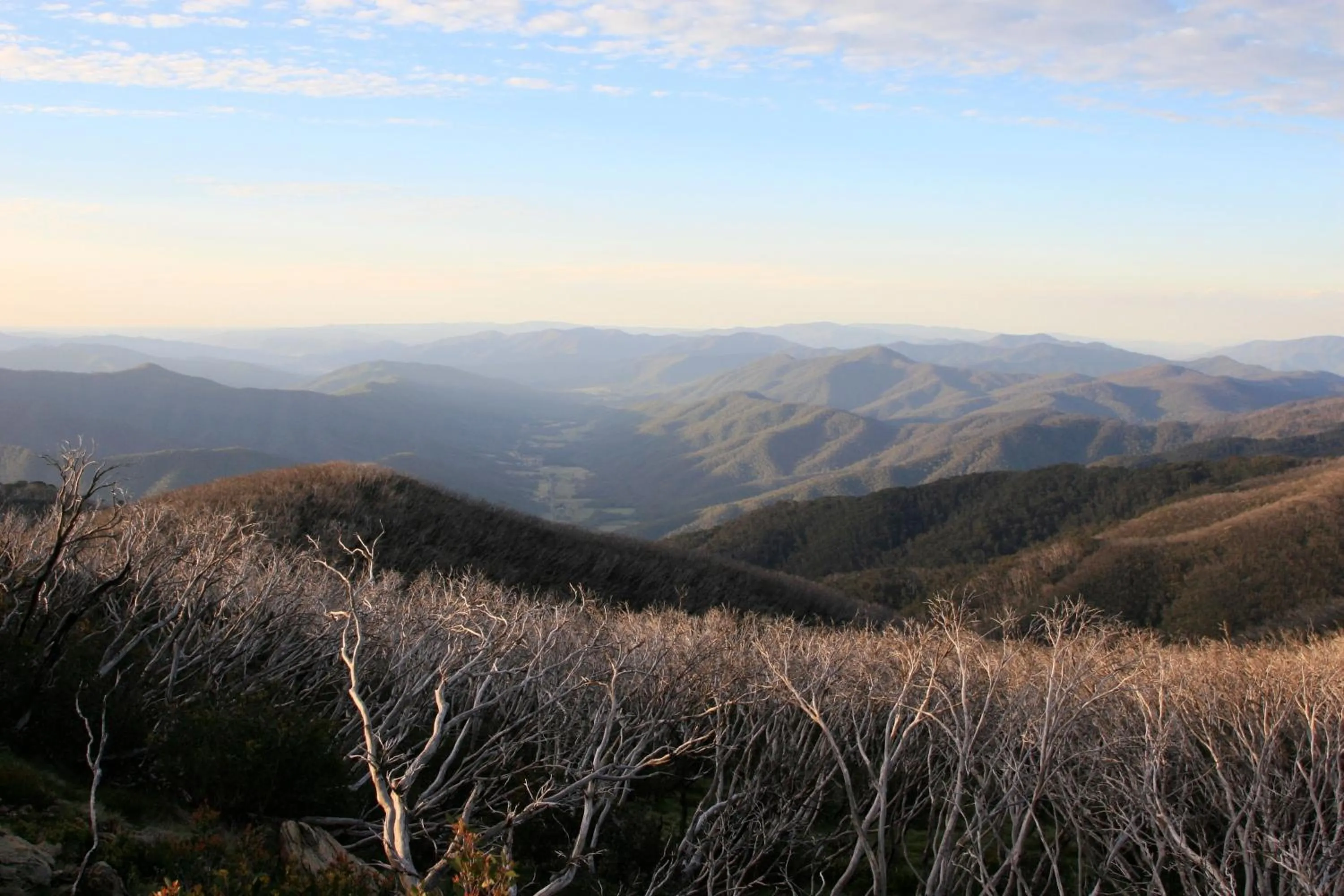 View (from property/room) in The Harrietville Snowline Hotel