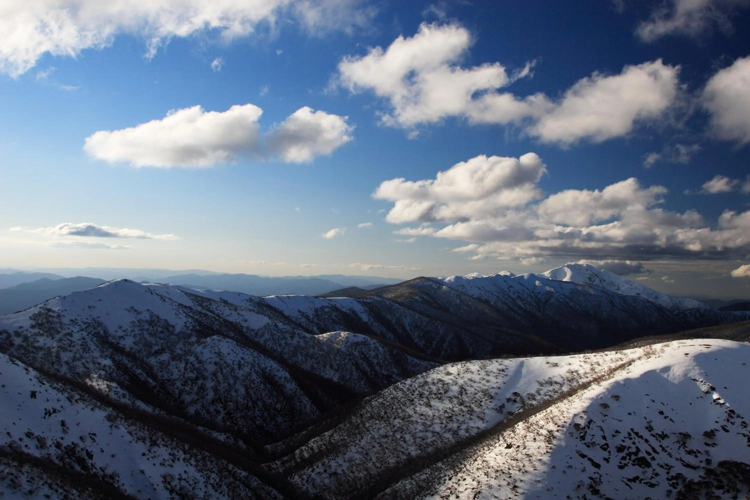 Skiing in The Harrietville Snowline Hotel