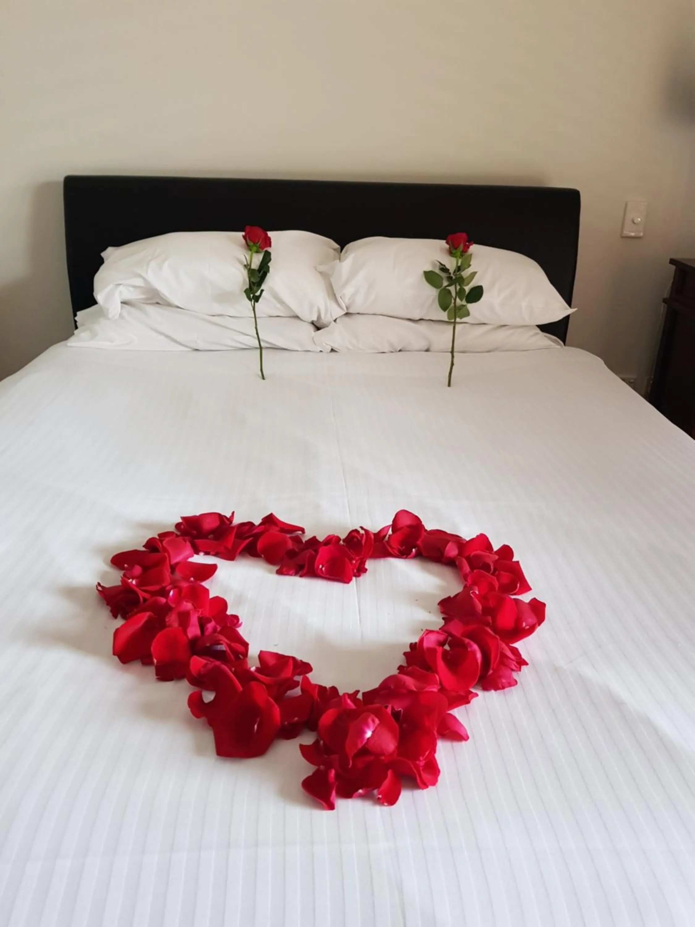 Bed in Squid's Ink Motel