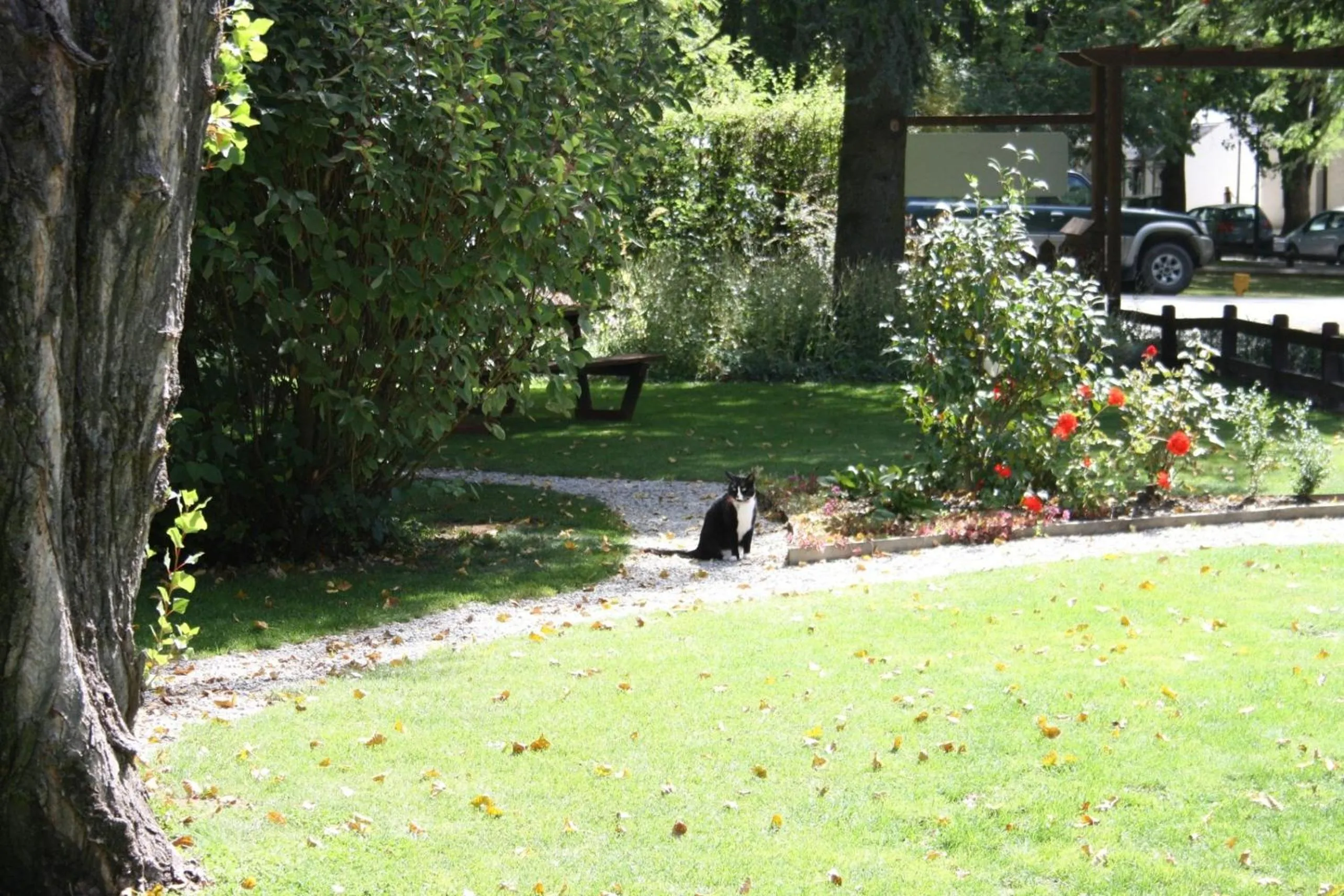 Garden in Shades of Arrowtown