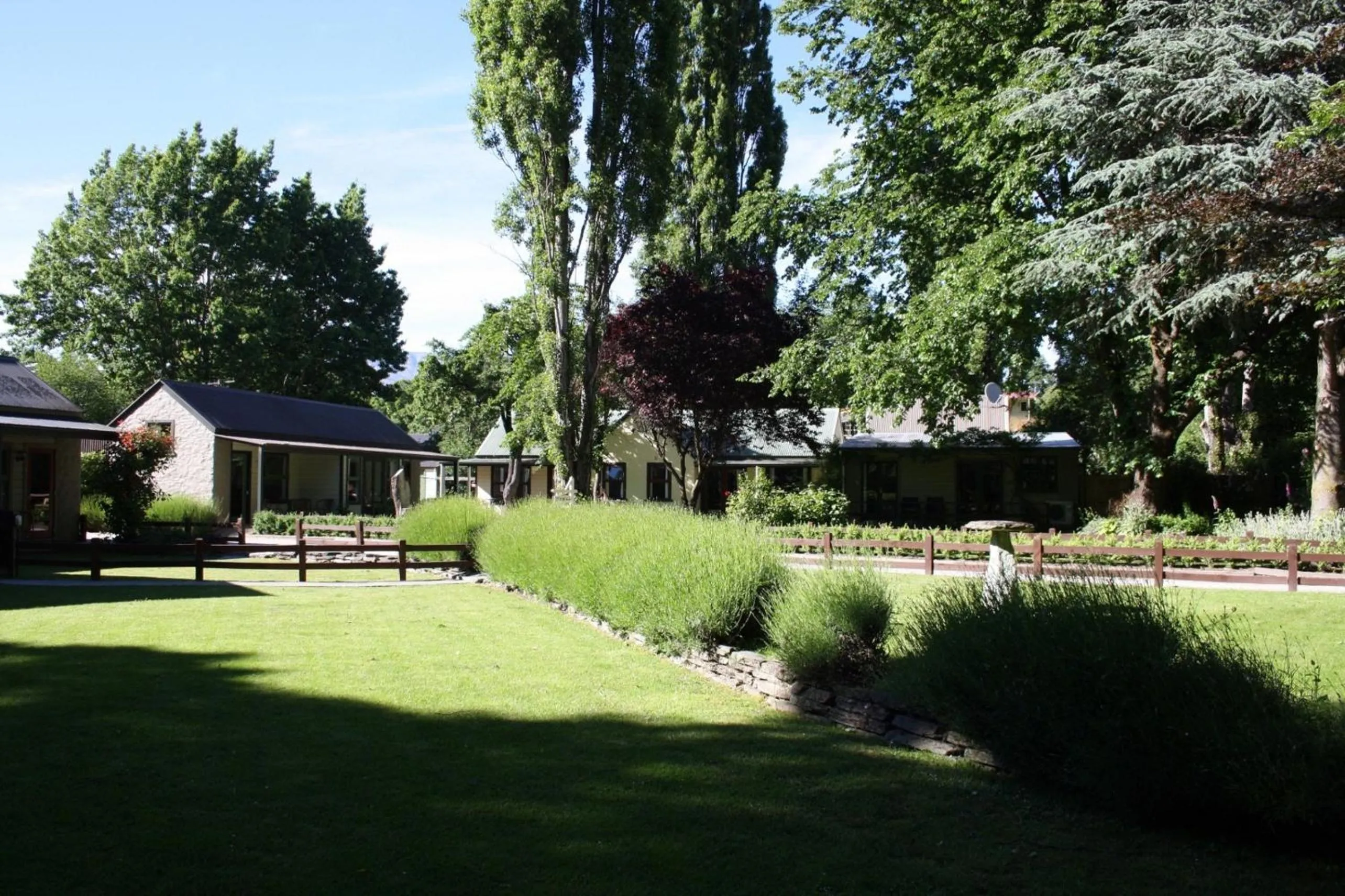 Garden in Shades of Arrowtown
