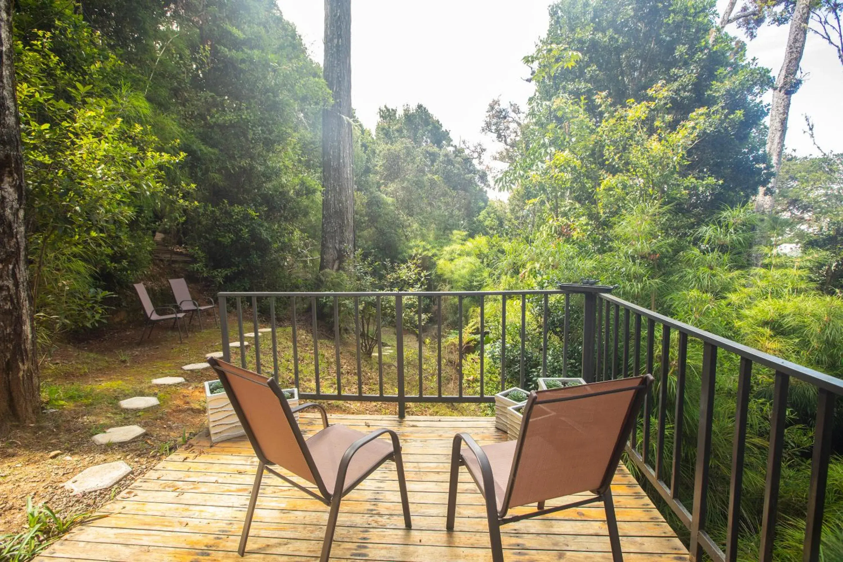 View (from property/room) in Dantica Cloud Forest Lodge View (from property/room) in Dantica Cloud Forest Lodge