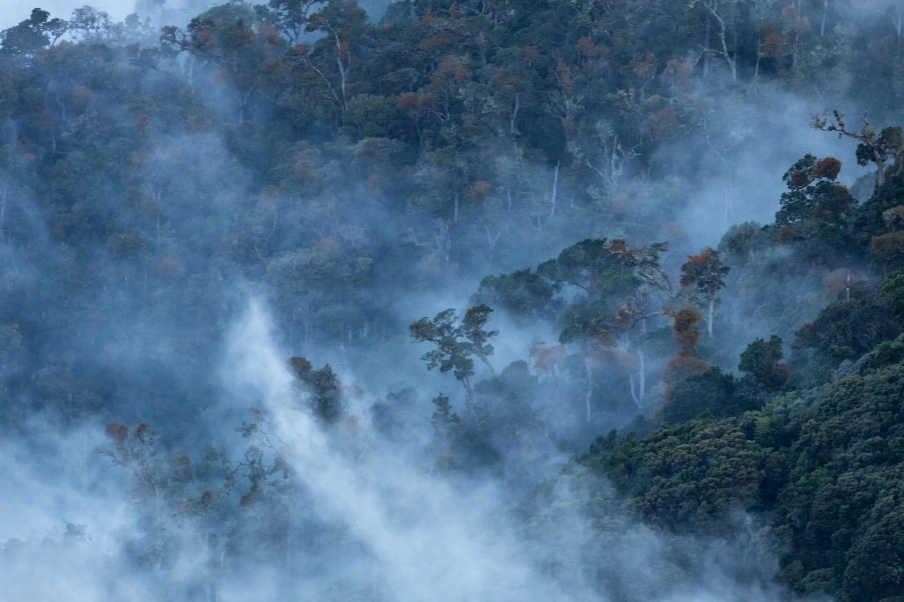 Natural landscape in Dantica Cloud Forest Lodge