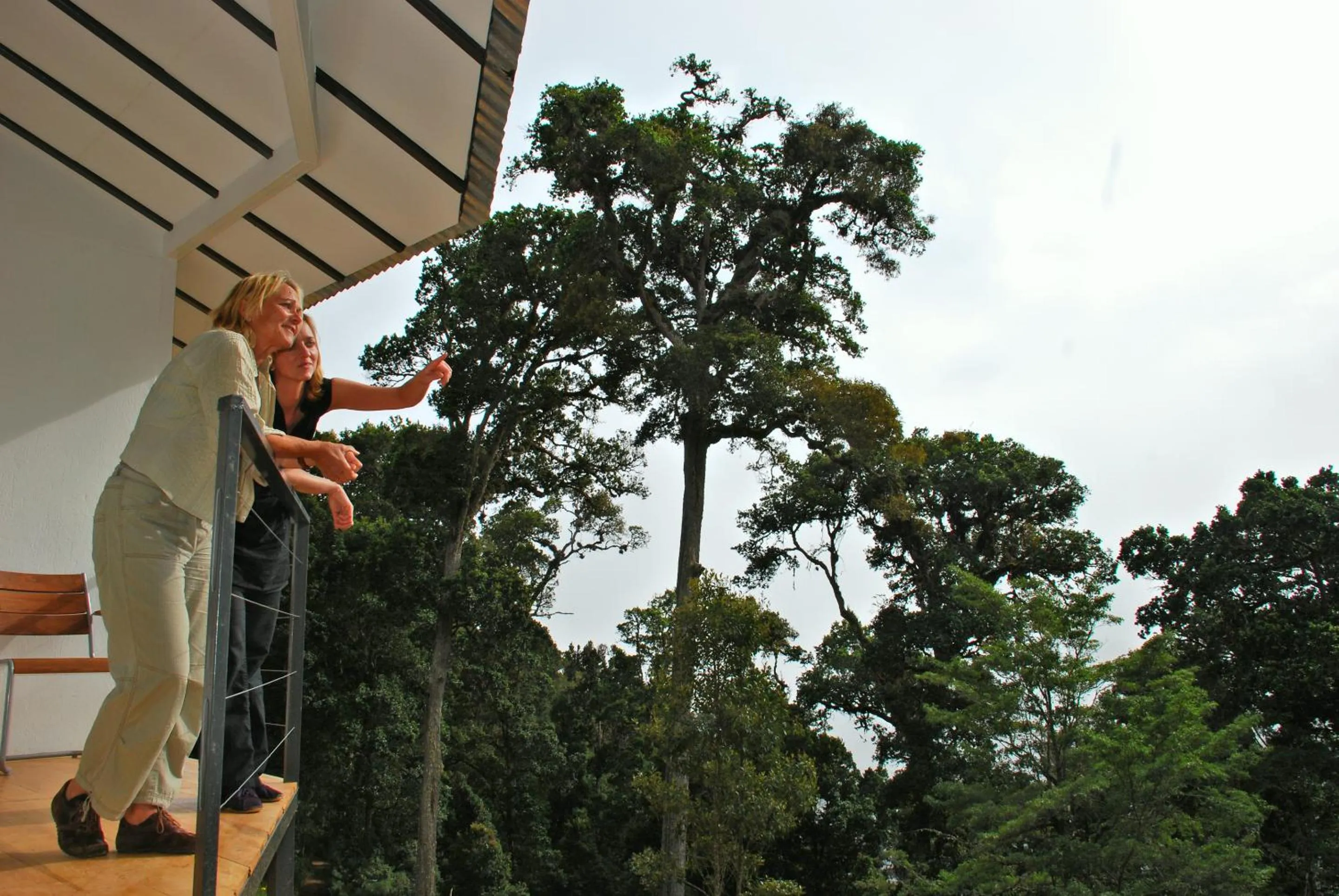 View (from property/room) in Dantica Cloud Forest Lodge