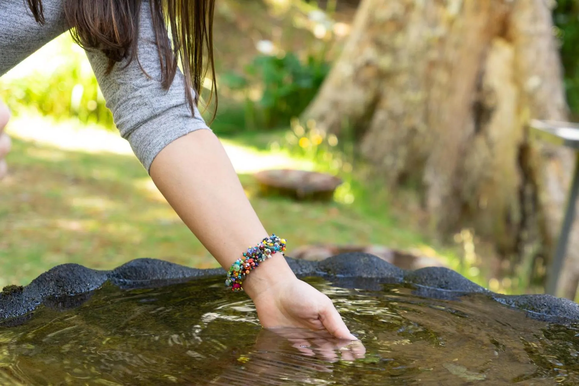 Property building in Dantica Cloud Forest Lodge