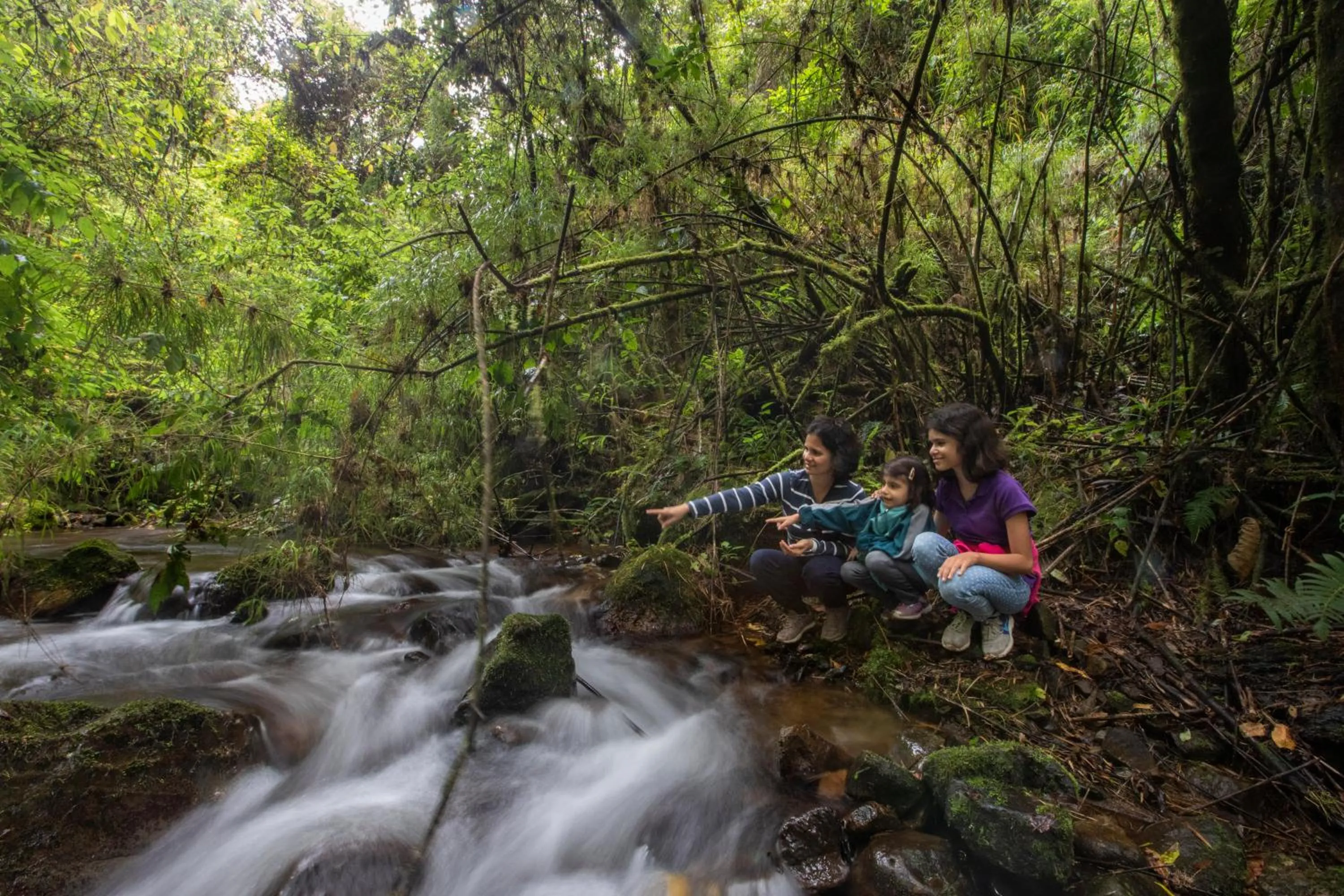Activities in Dantica Cloud Forest Lodge