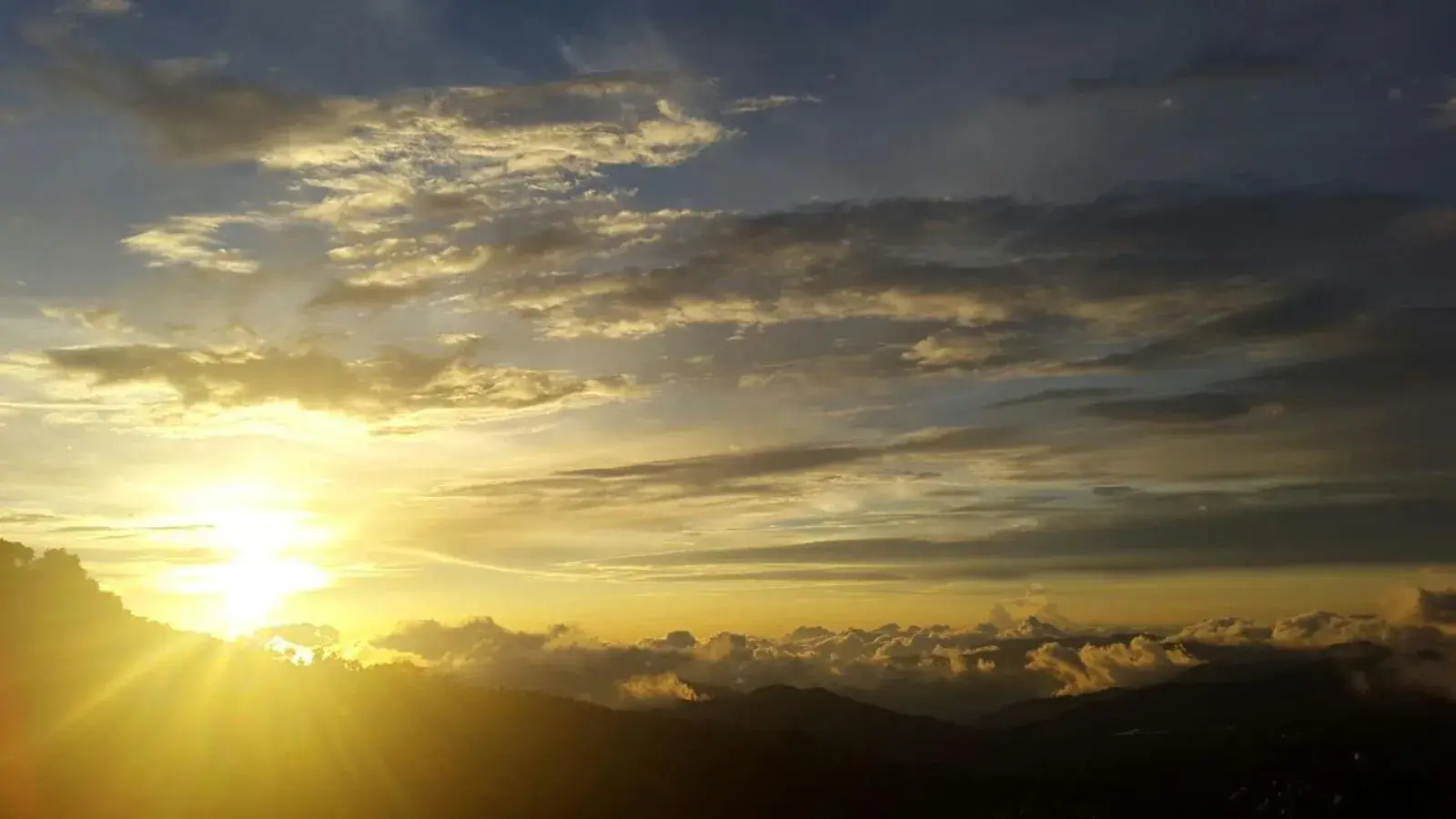 View (from property/room) in Dantica Cloud Forest Lodge View (from property/room) in Dantica Cloud Forest Lodge