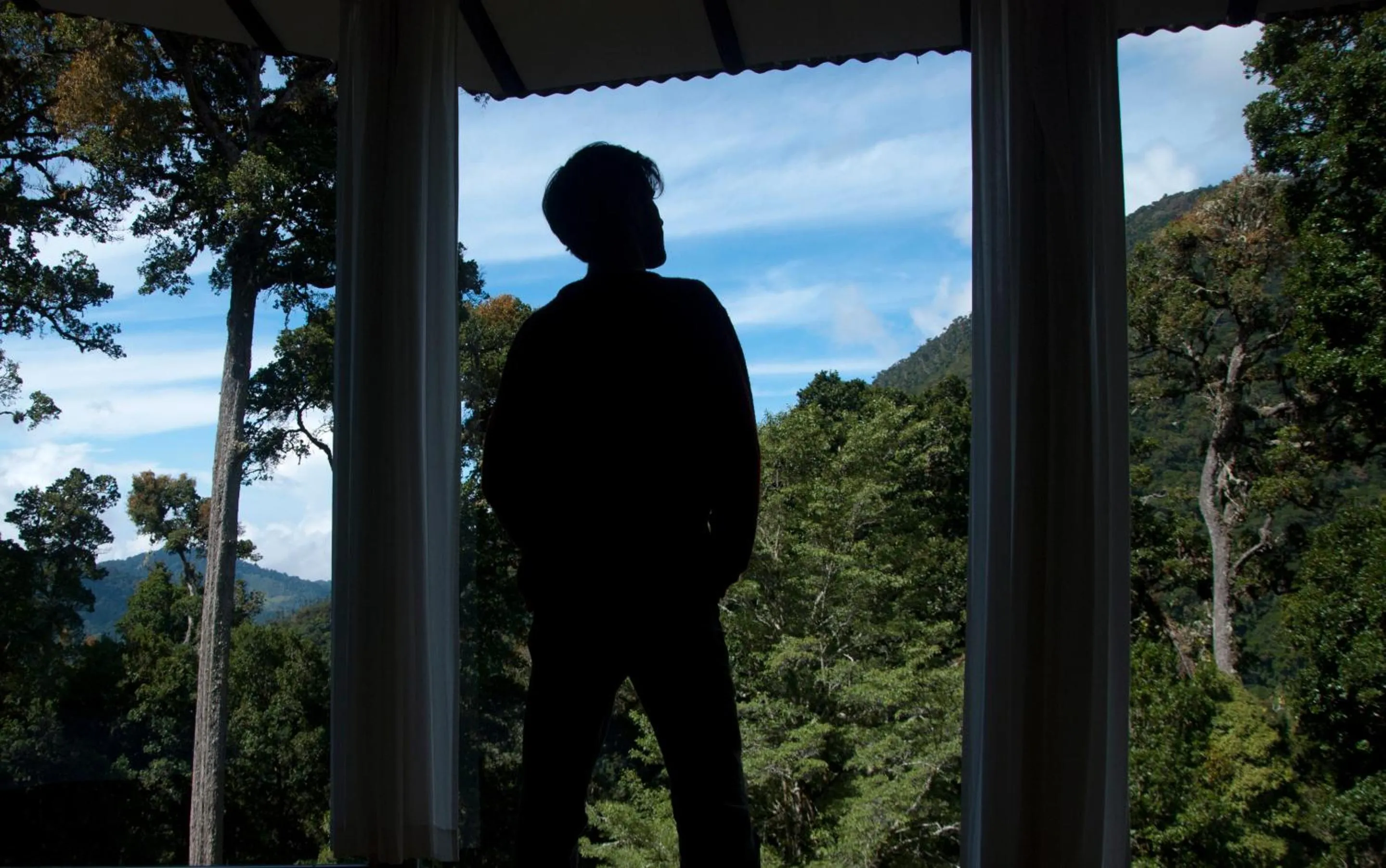 View (from property/room) in Dantica Cloud Forest Lodge