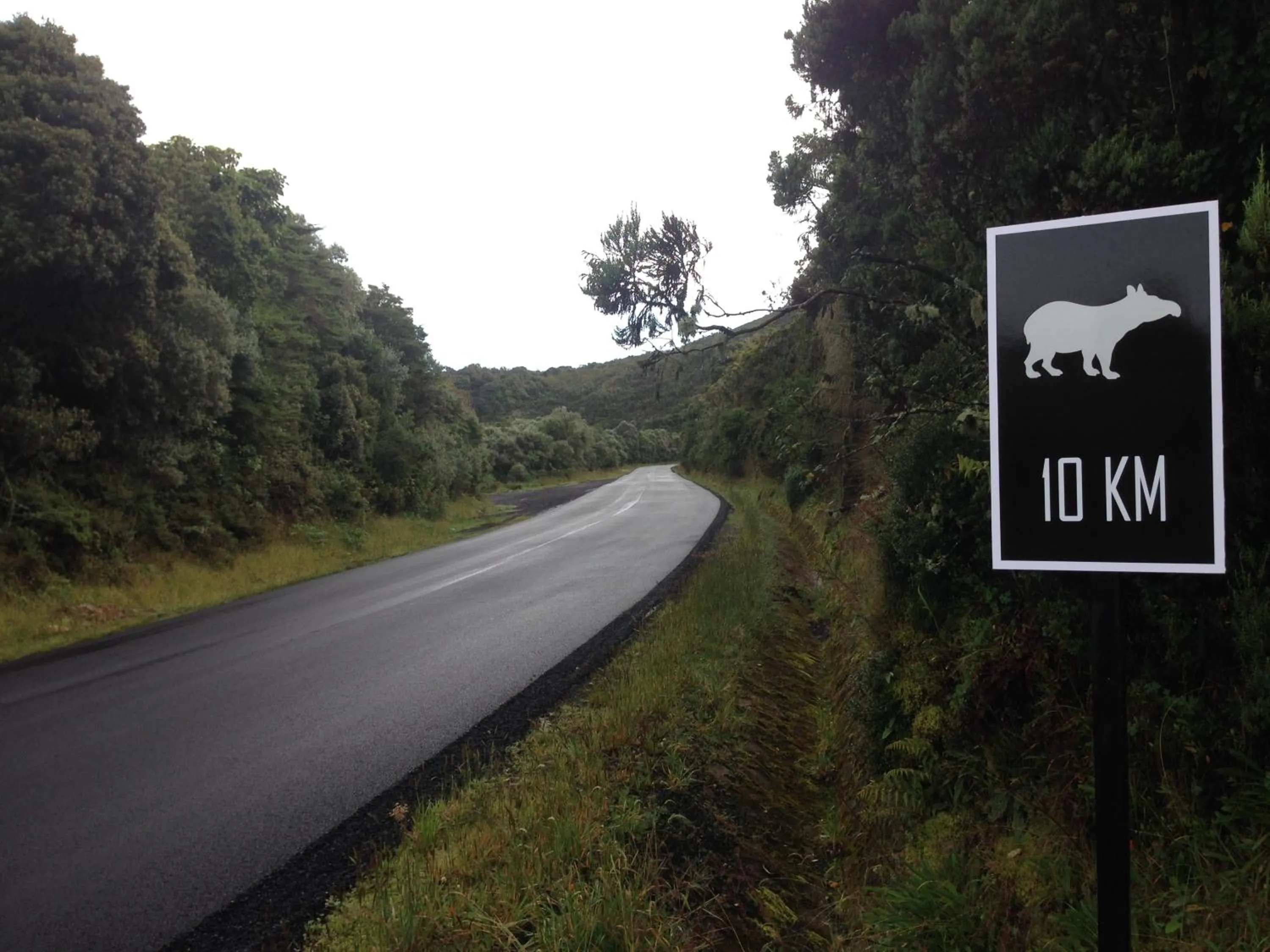 Street view in Dantica Cloud Forest Lodge