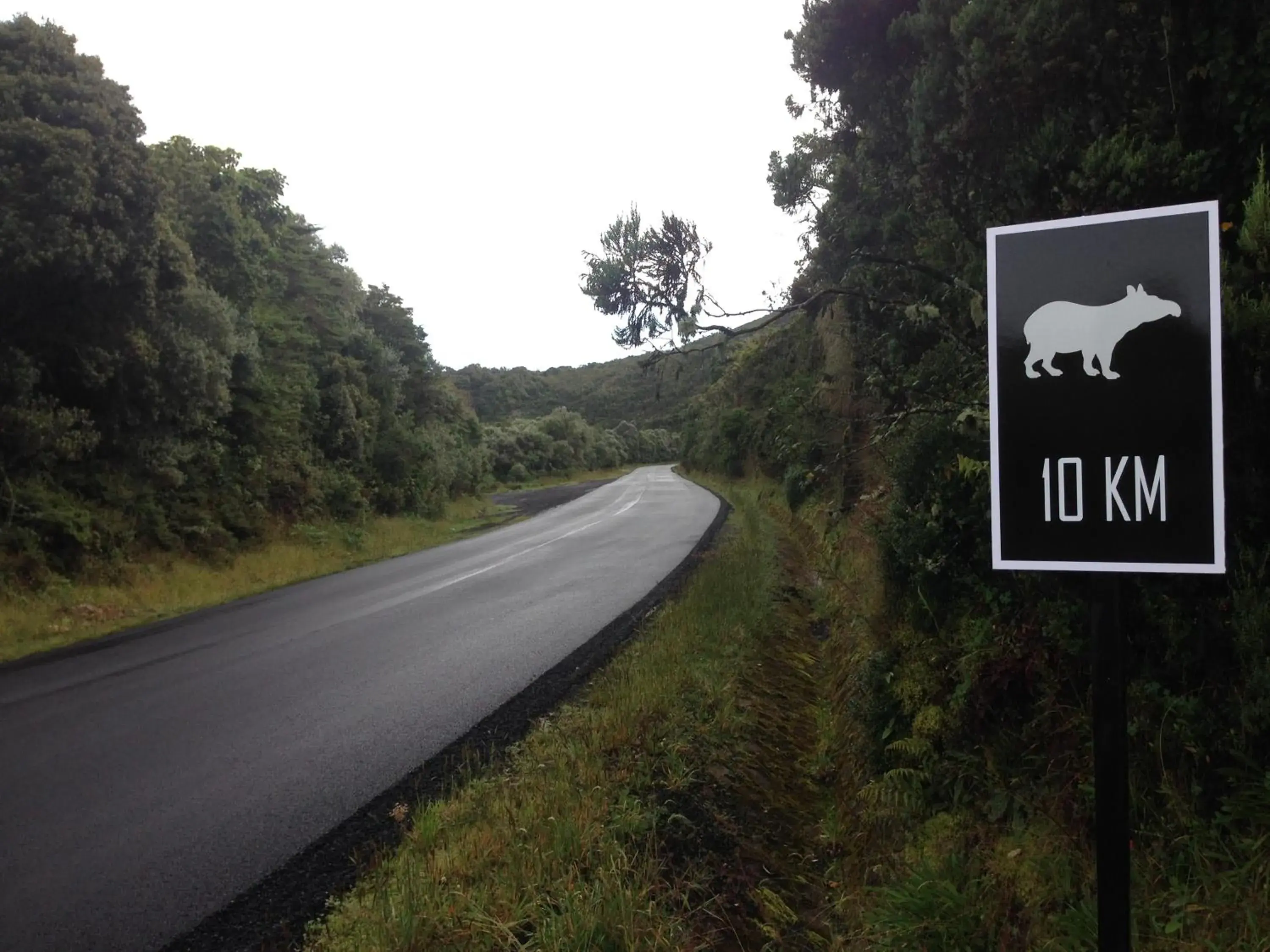 Street view in Dantica Cloud Forest Lodge Street view in Dantica Cloud Forest Lodge
