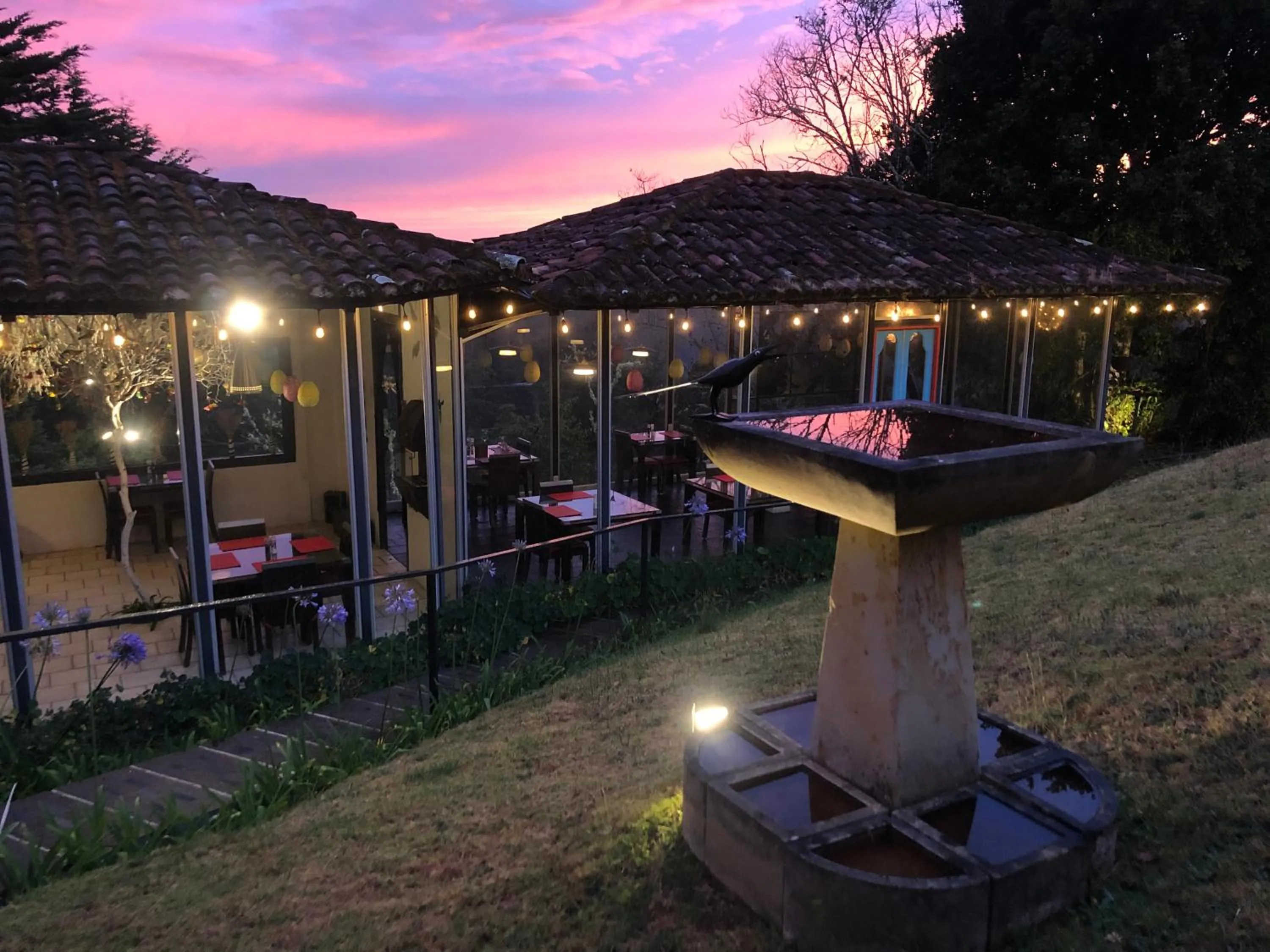 Restaurant/places to eat in Dantica Cloud Forest Lodge