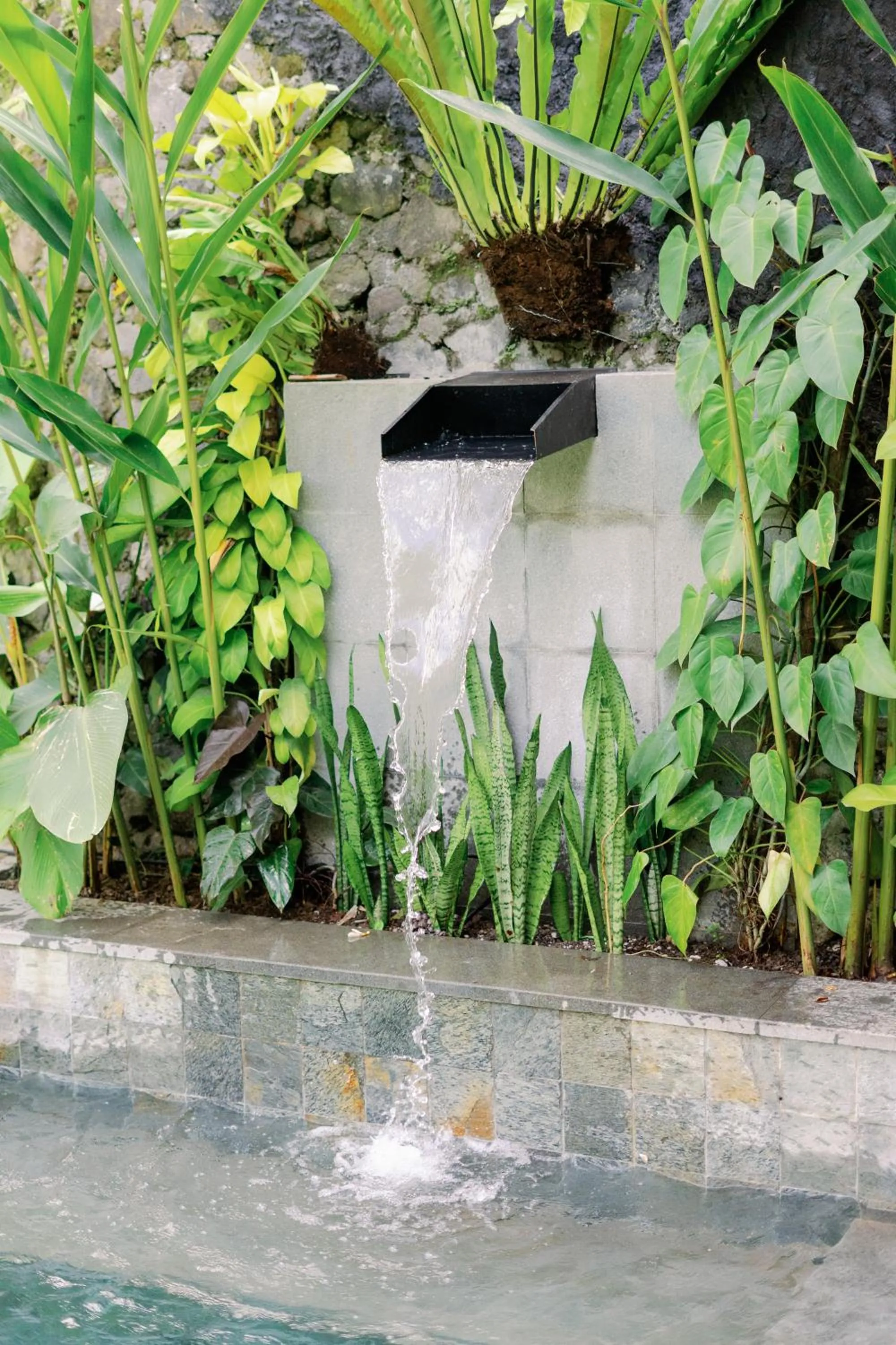 Swimming pool in Zenubud