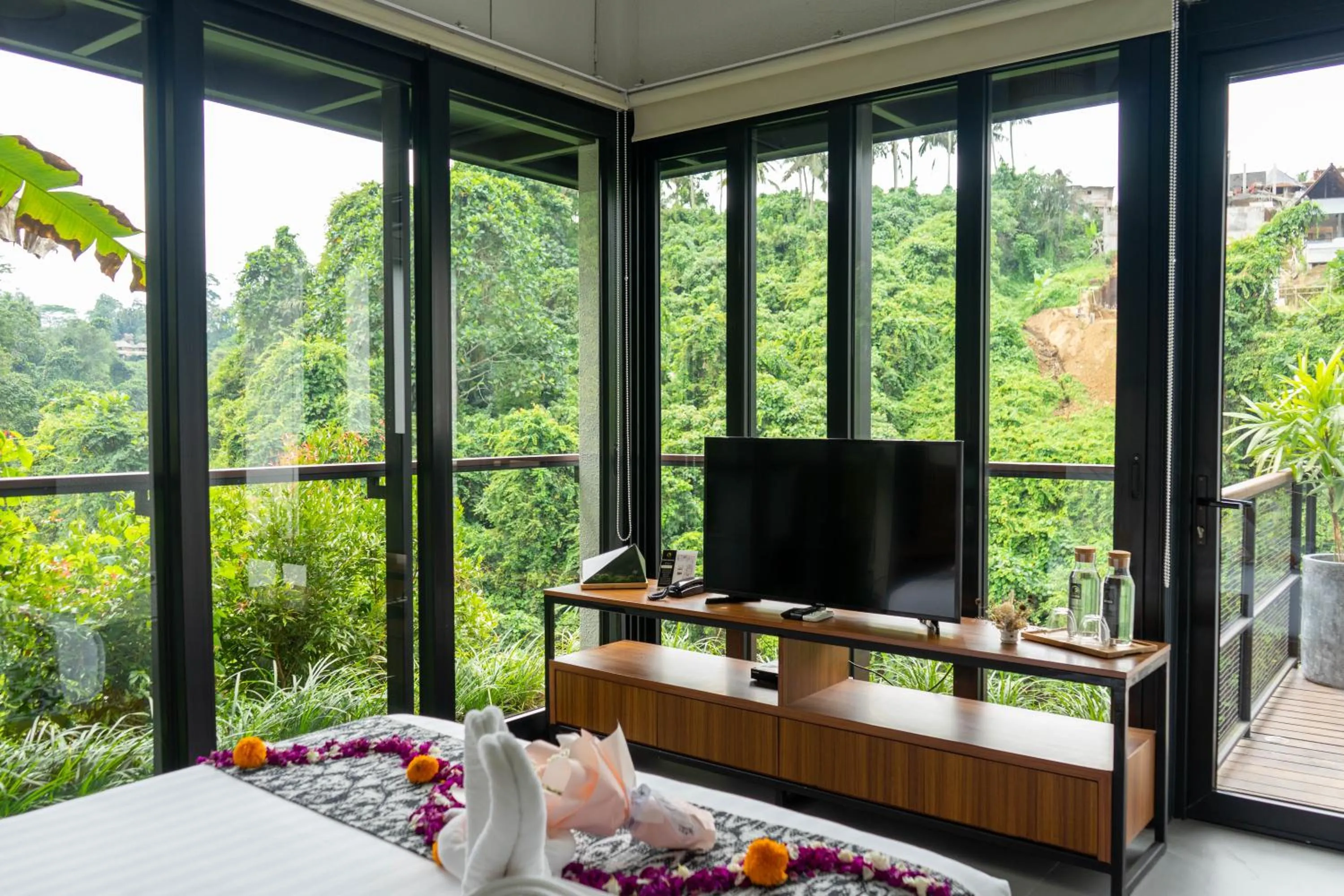 TV and multimedia in Zenubud