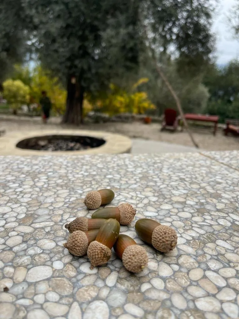 Garden in Antalya Bodrum Kayası Dağ Oteli