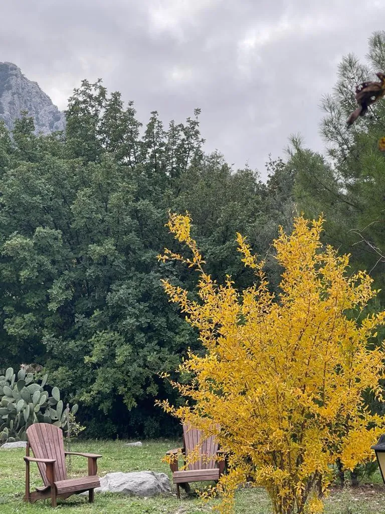 Garden in Antalya Bodrum Kayası Dağ Oteli