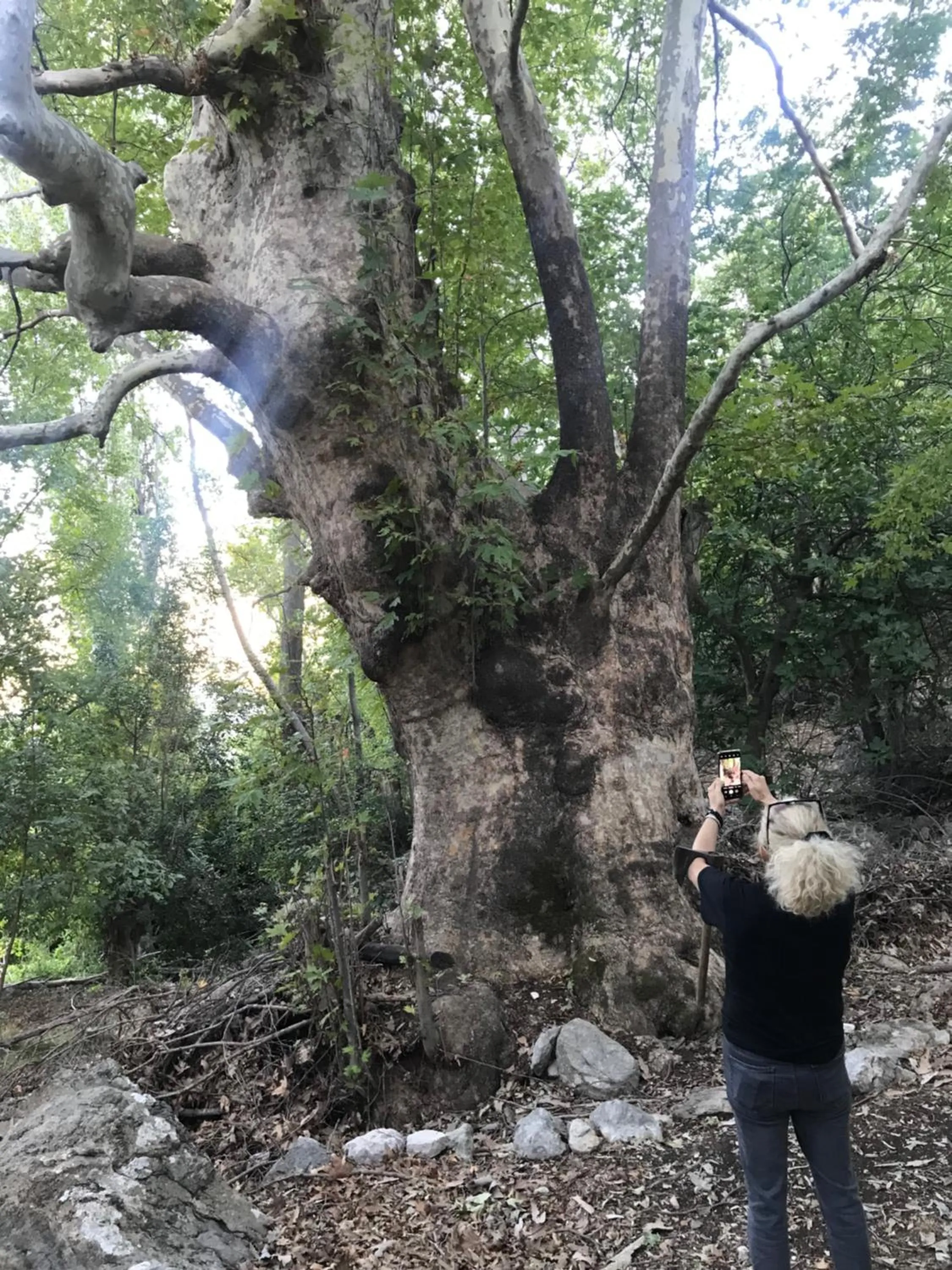 Billiard in Antalya Bodrum Kayası Dağ Oteli