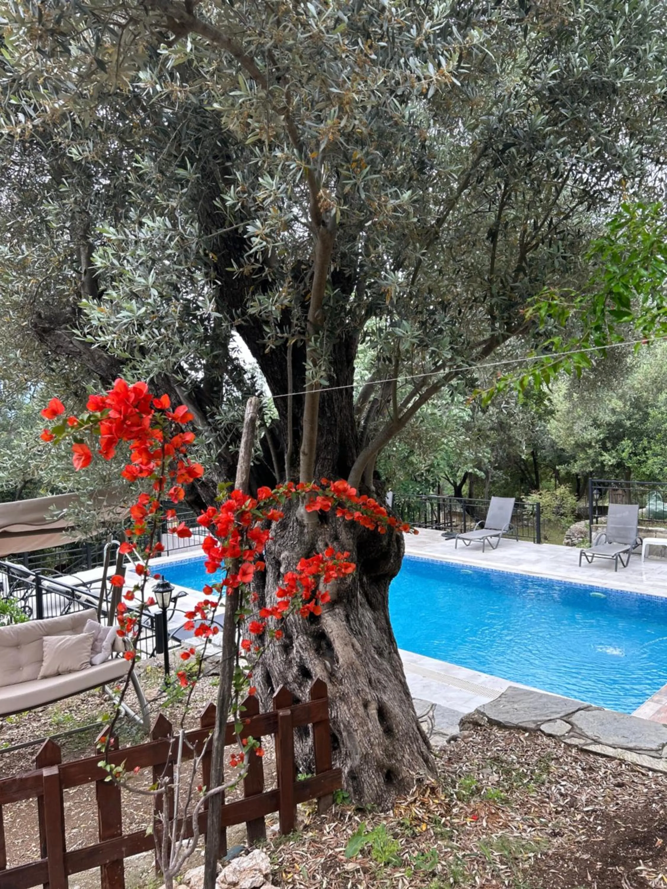 Garden in Antalya Bodrum Kayası Dağ Oteli