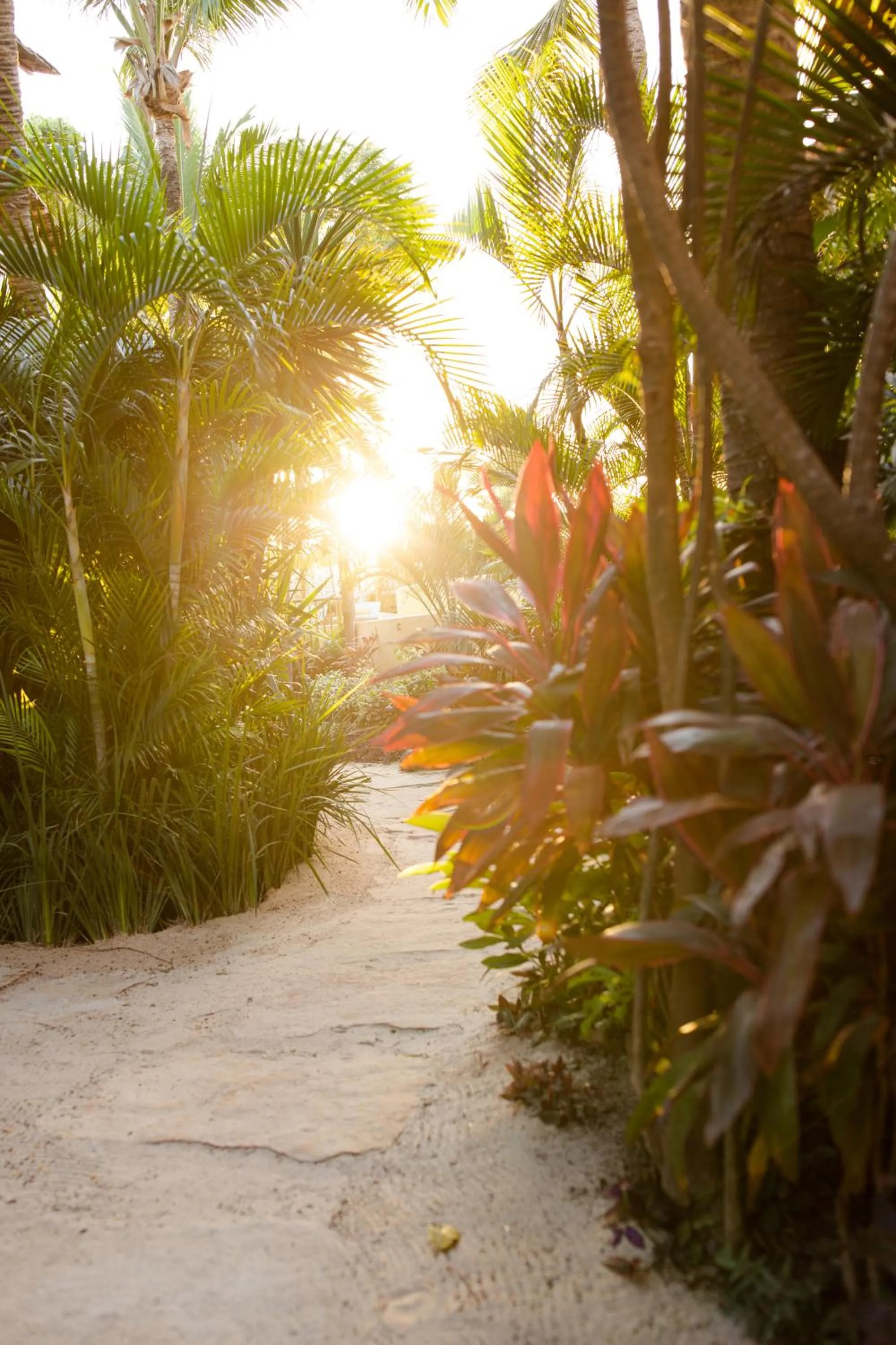 Spring in Café Jeri Hotel - Adults Only