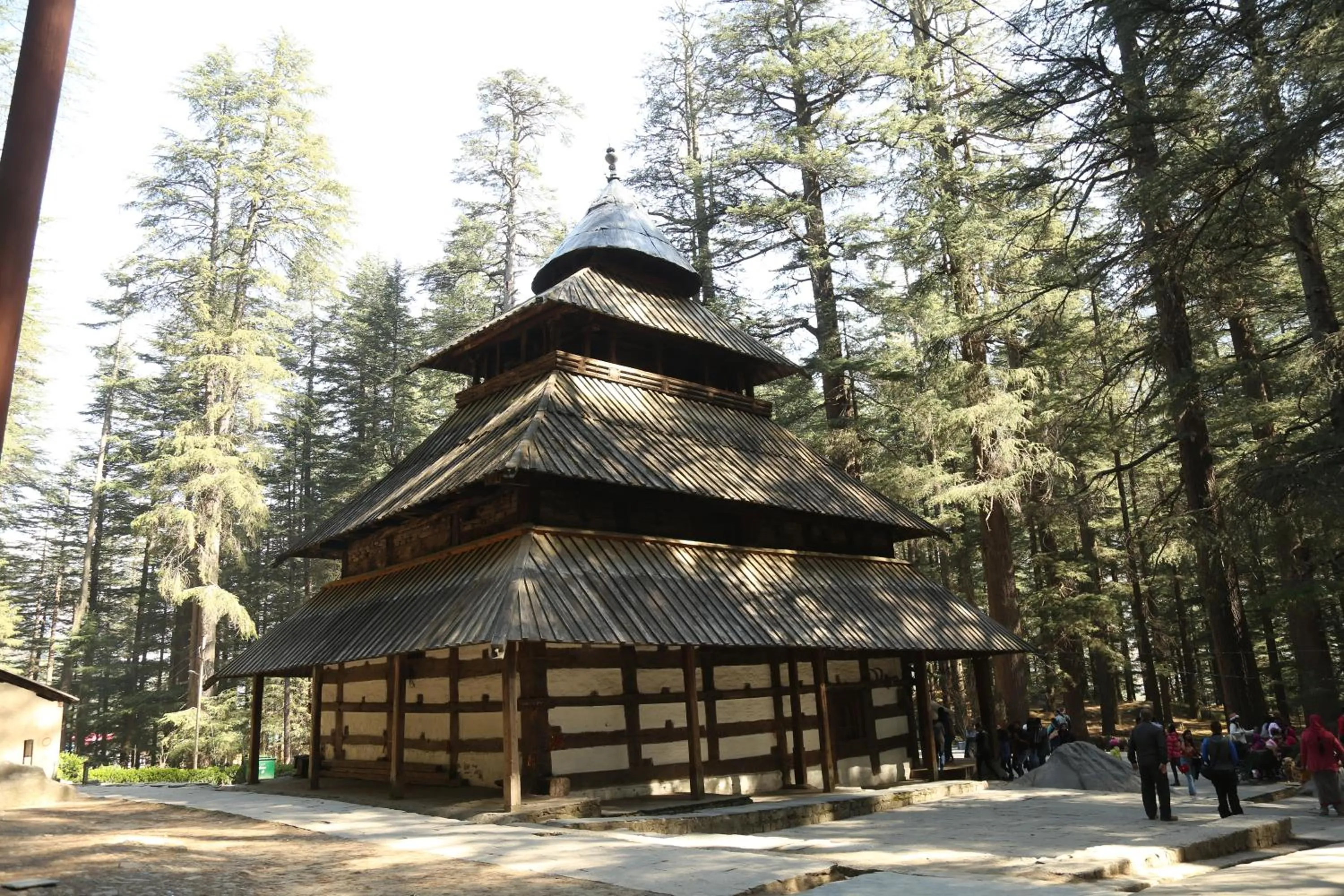 Hotel Mountain Trail Manali