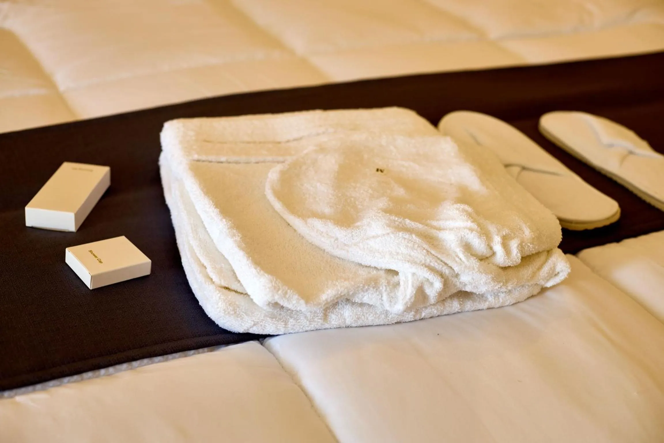 AIDEN HOMES AND APARTMENTS HOTEl