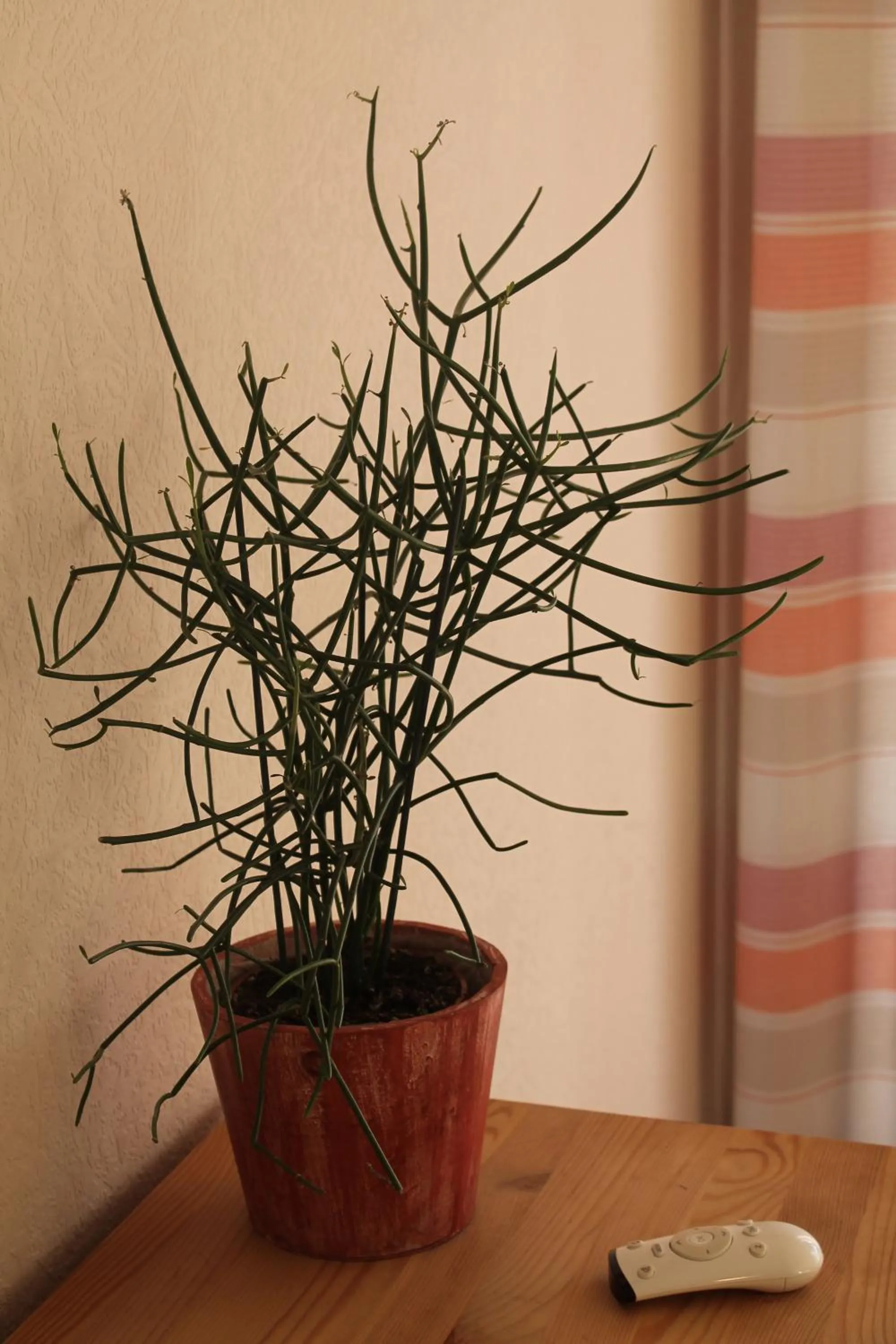 Decorative detail in Landhaus Hotel Göke