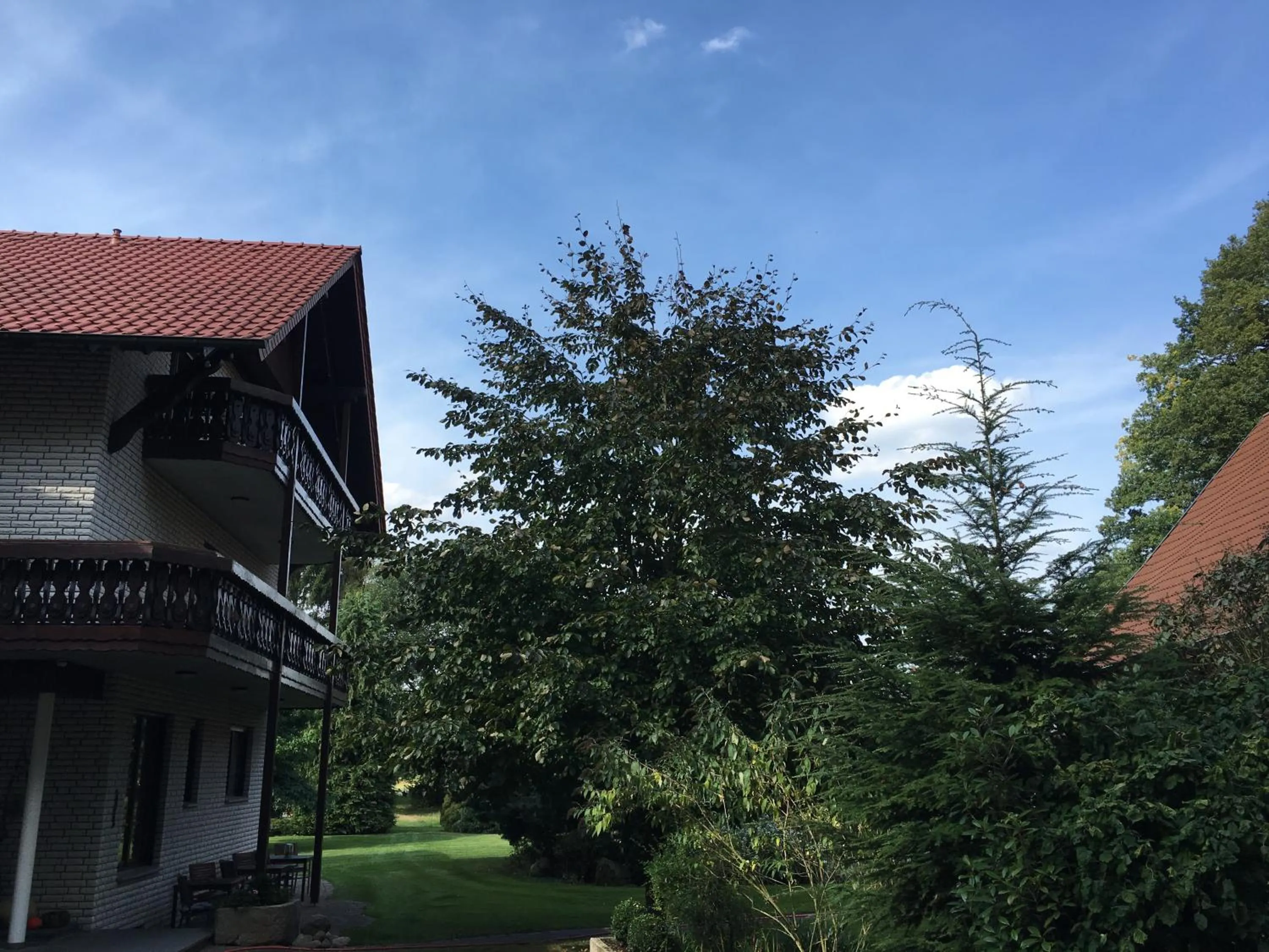 Patio in Landhaus Hotel Göke