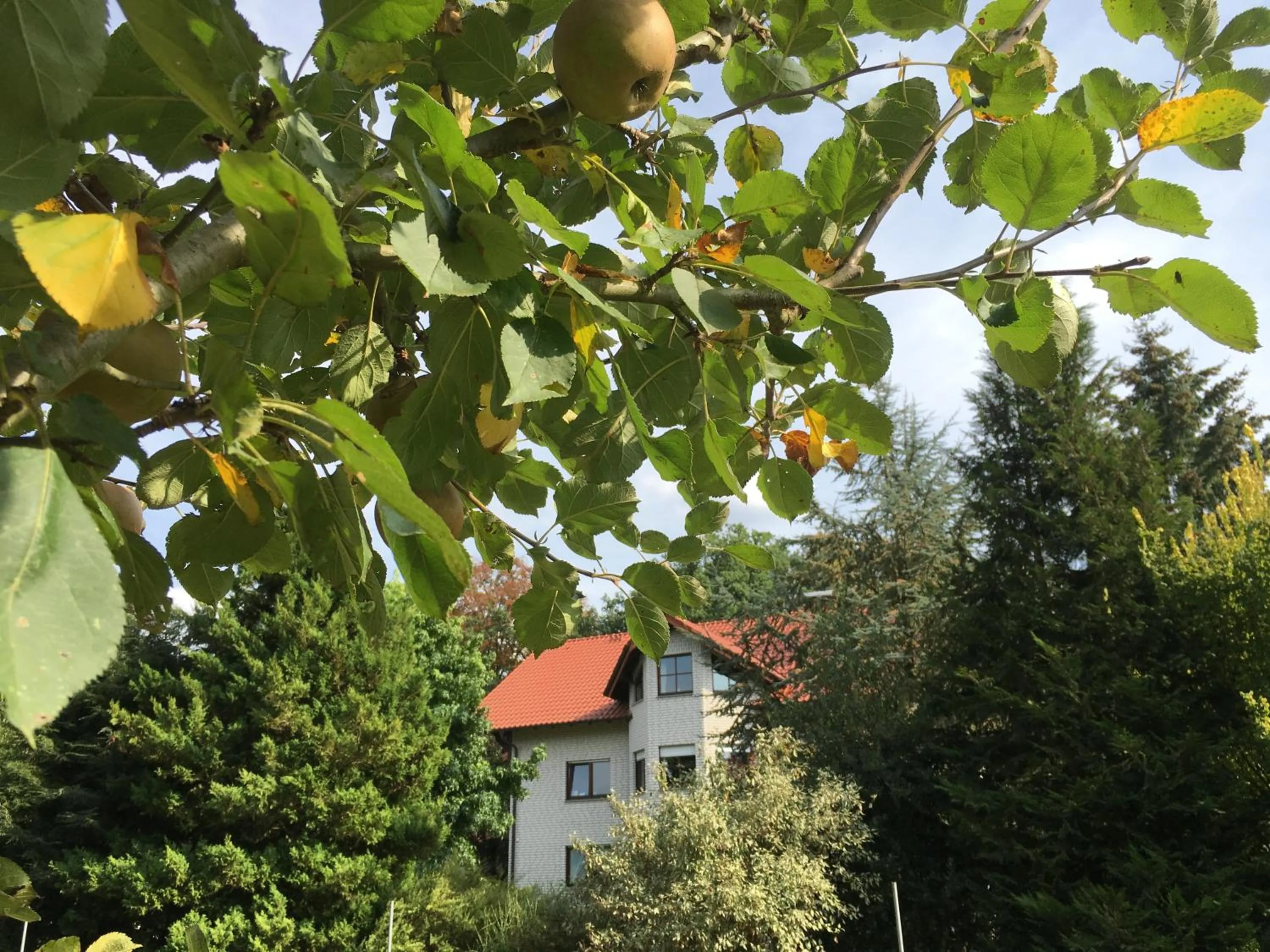 Garden view in Landhaus Hotel Göke