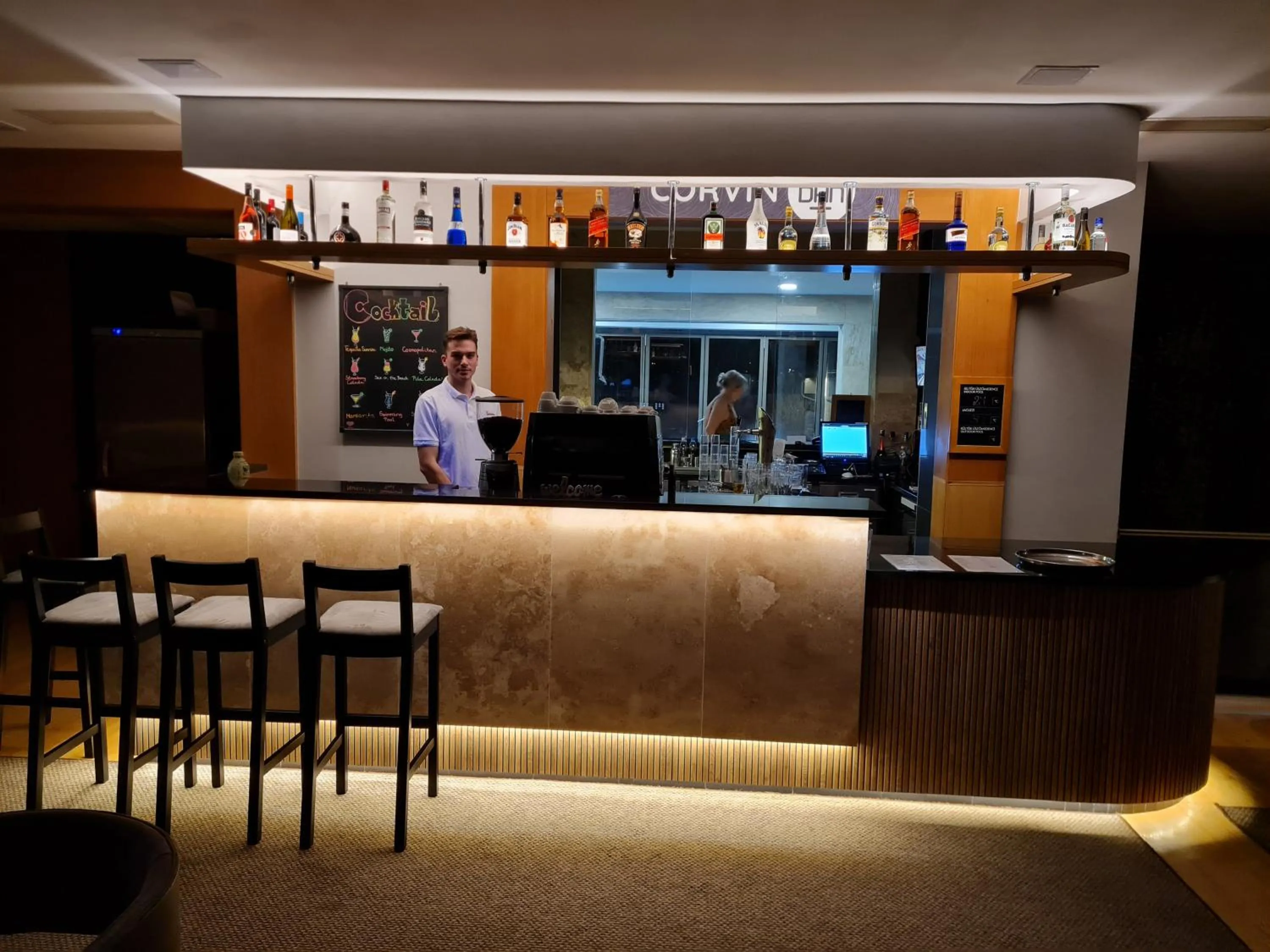Lounge or bar in Hotel Visegrád