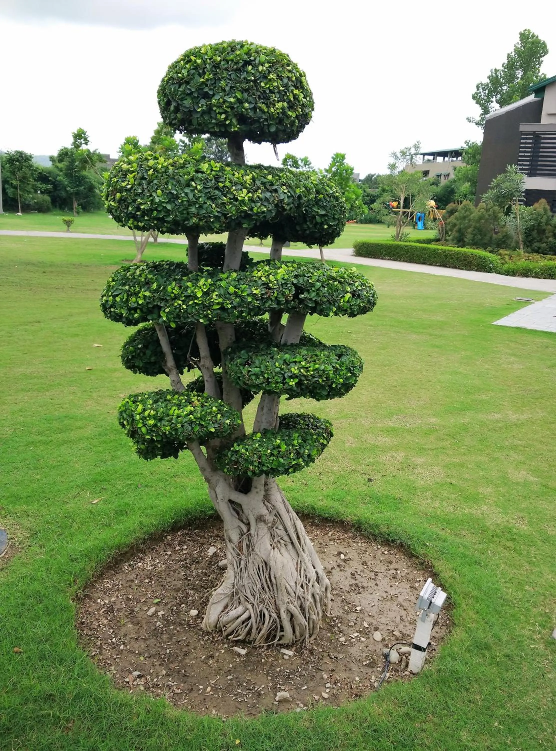 Decorative detail in Namah Resort Jim Corbett, a member of Radisson Individuals