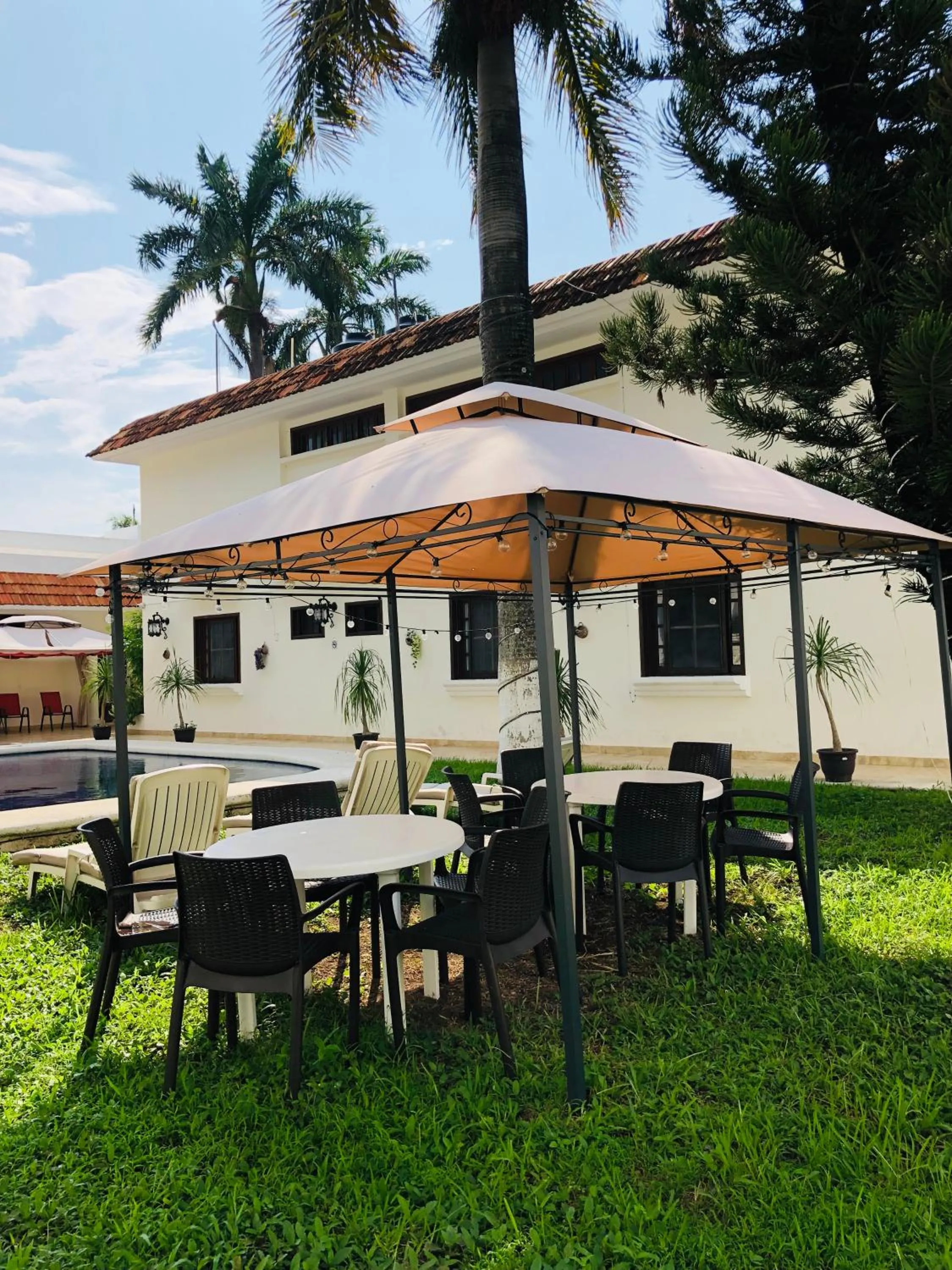 Garden in Hotel Boutique Villas Segovia Cozumel