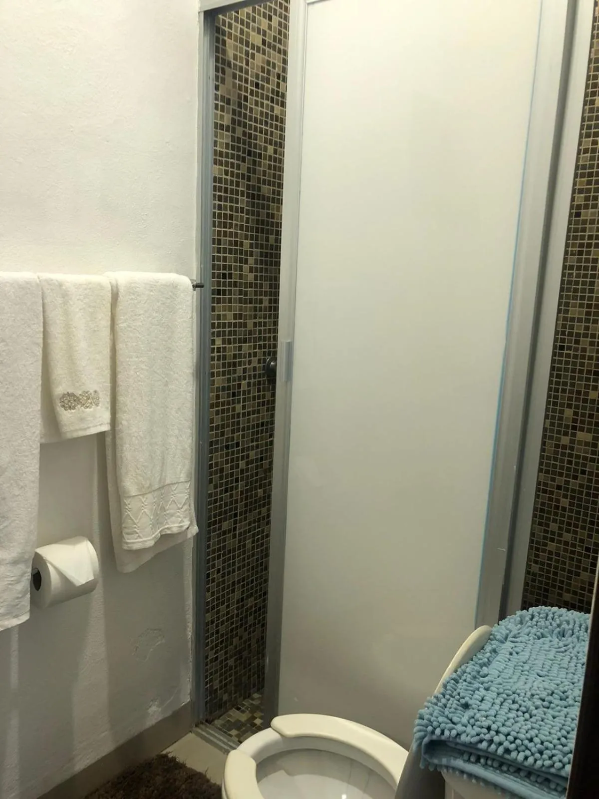 Shower in Hotel Boutique Villas Segovia Cozumel